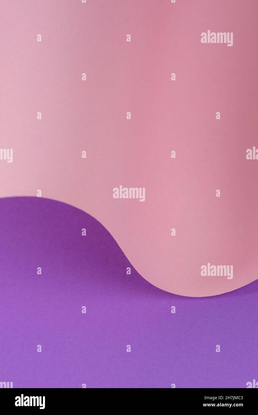 Vague abstraite de papier rose pastel et violet.Papier courbe géométrique créatif avec lumière et ombres.Arrière-plan de géométrie abstraite avec espace de copie Banque D'Images