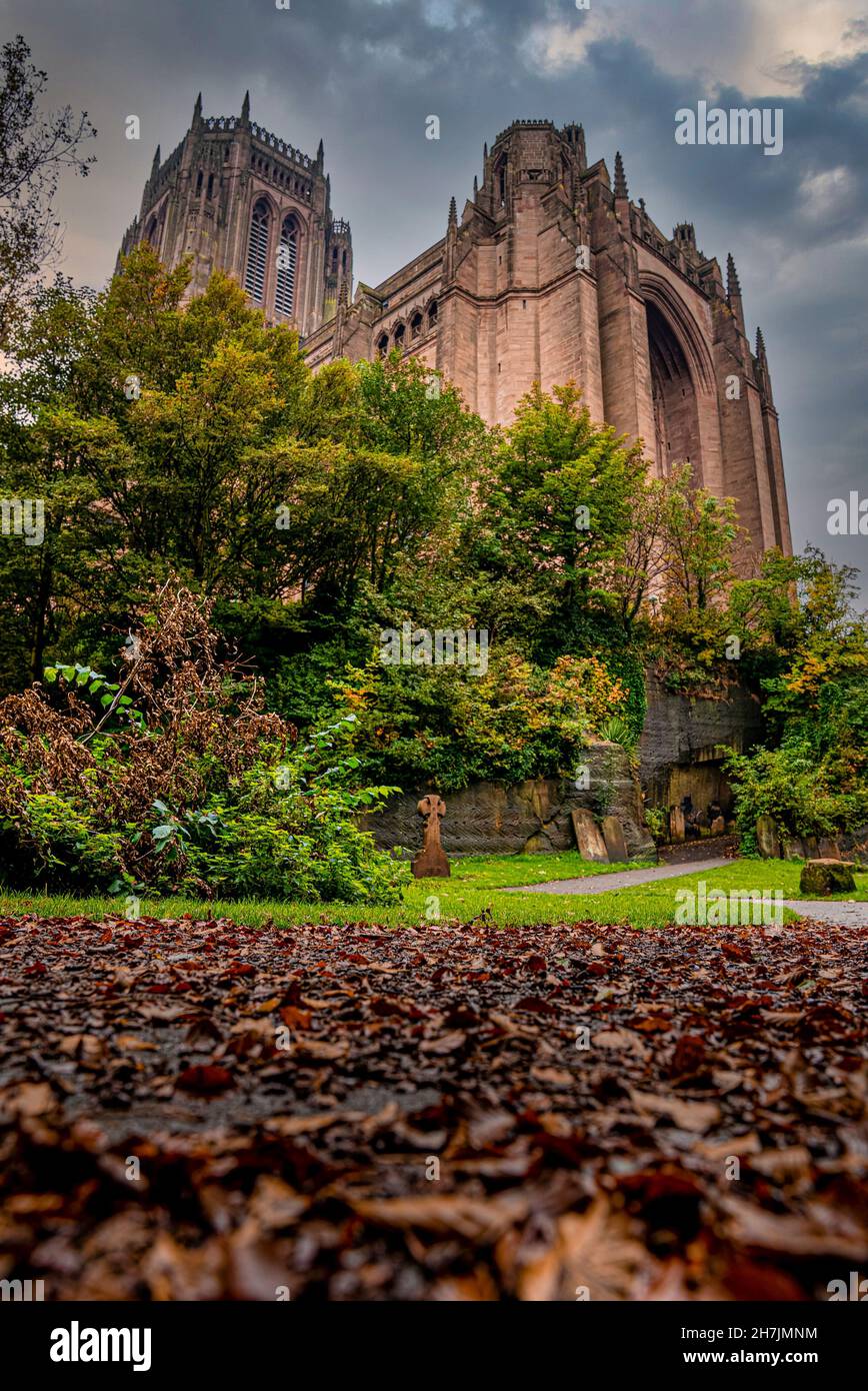 Cathédrale anglicane de Liverpool à travers les arbres du cimetière St James Banque D'Images