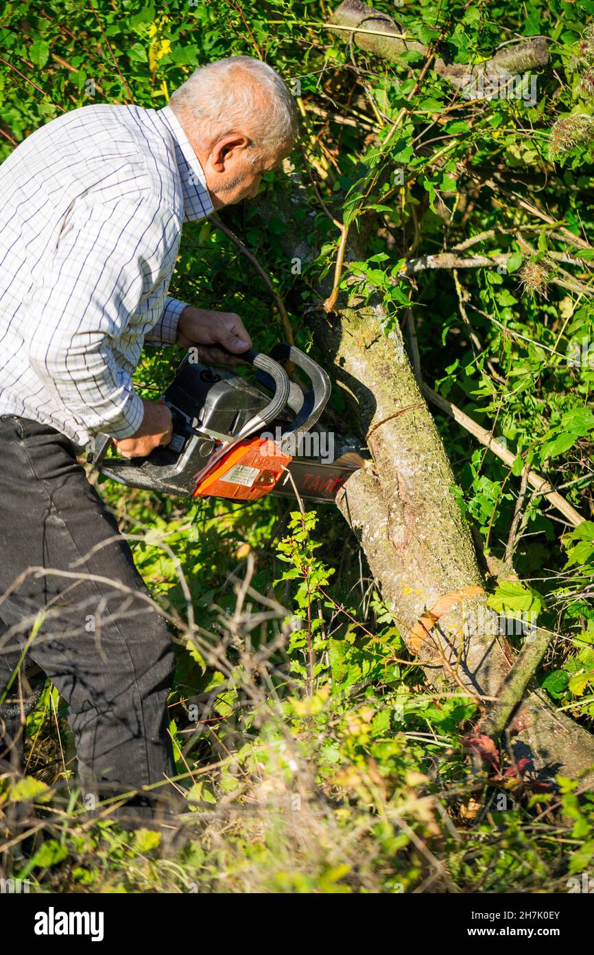 Illustration d'un homme coupant des arbres et des buissons avec une tronçonneuse à essence pour nettoyer une cour de campagne Banque D'Images