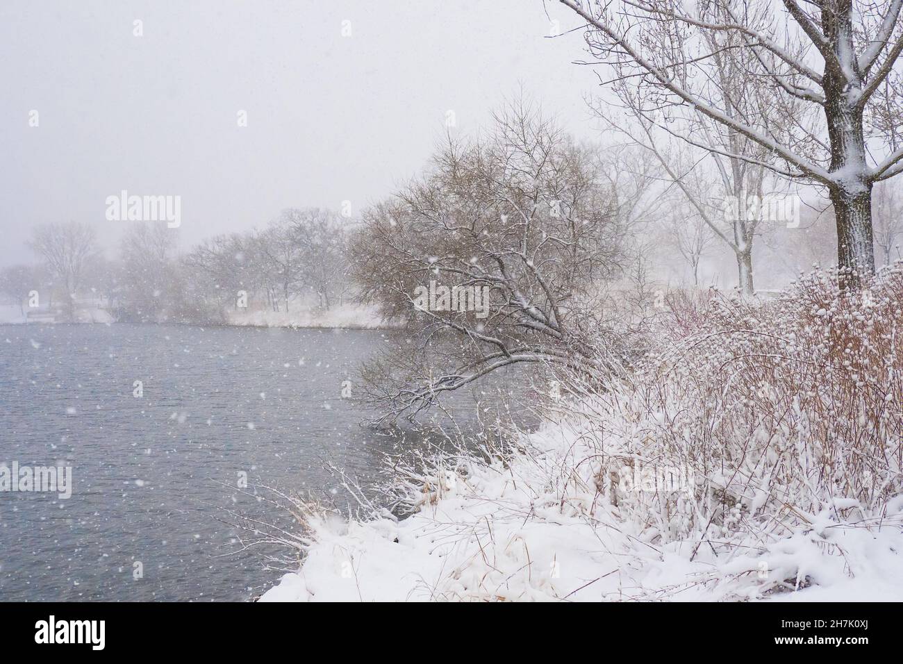 Le lac d'hiver est recouvert de plantes et d'arbres enneigés et de flocons de neige qui tombent Banque D'Images