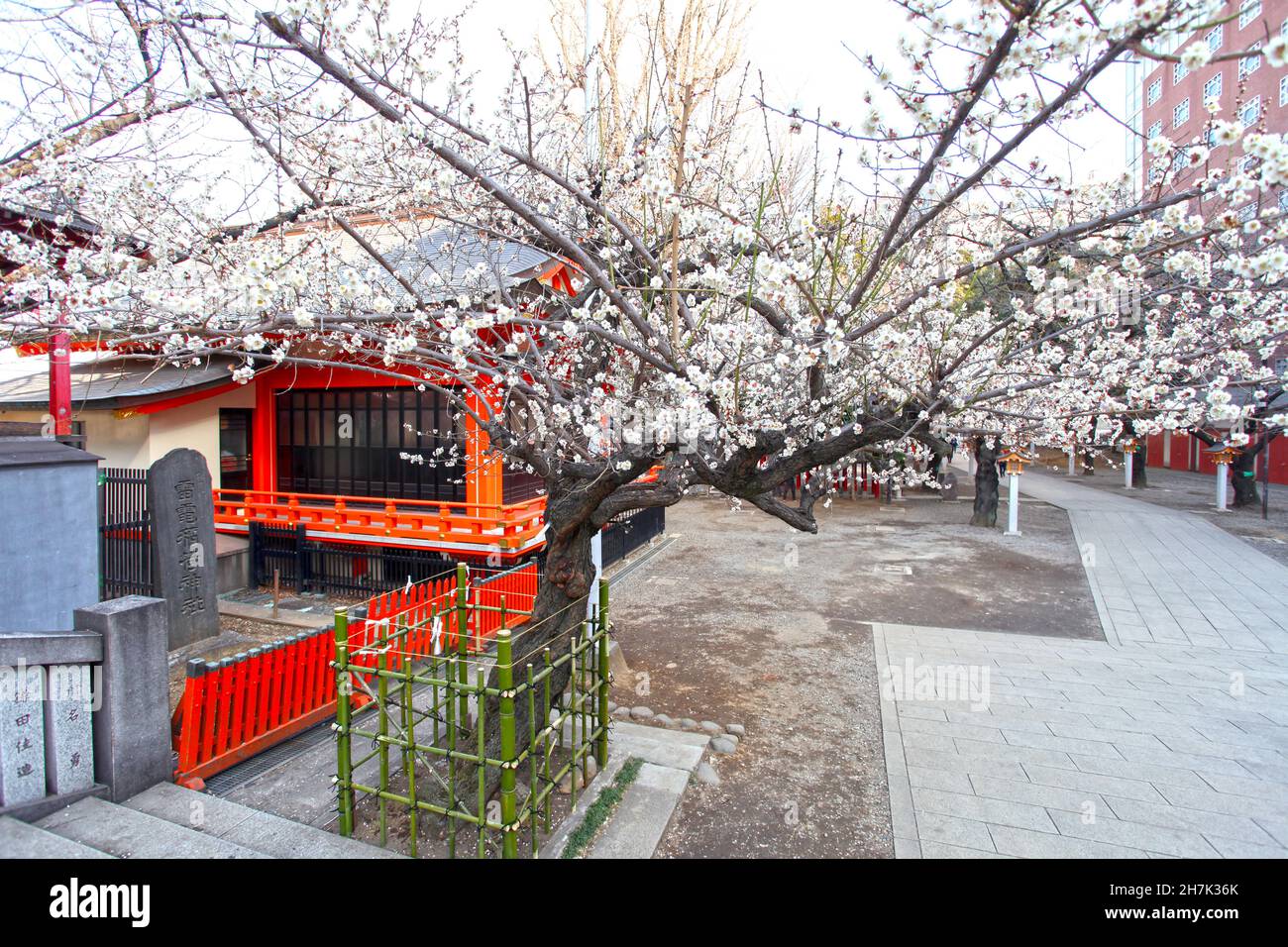 Le sanctuaire Hanazono avec des bâtiments couleur vermilion et des portes torii à Shinjuku, Tokyo, Japon.C'est l'un des plus importants sanctuaires Inari au Japon. Banque D'Images