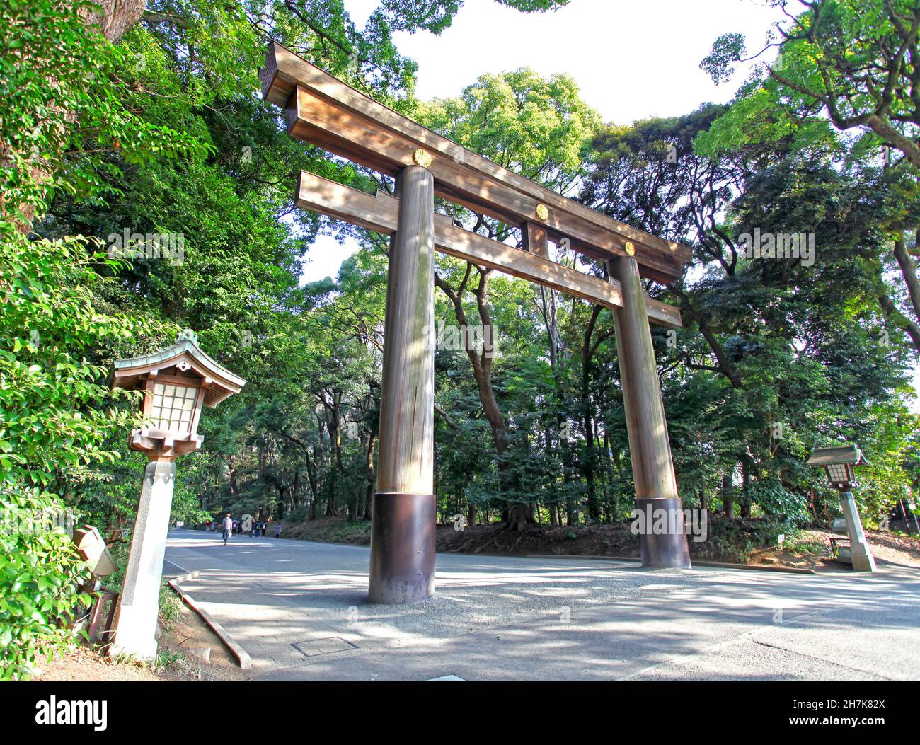 Une immense porte en bois de torii se trouve à l'entrée du sanctuaire Meiji  Jingu.Torii est le mot japonais pour la porte et associé avec Shinto Shines  au Japon Photo Stock -