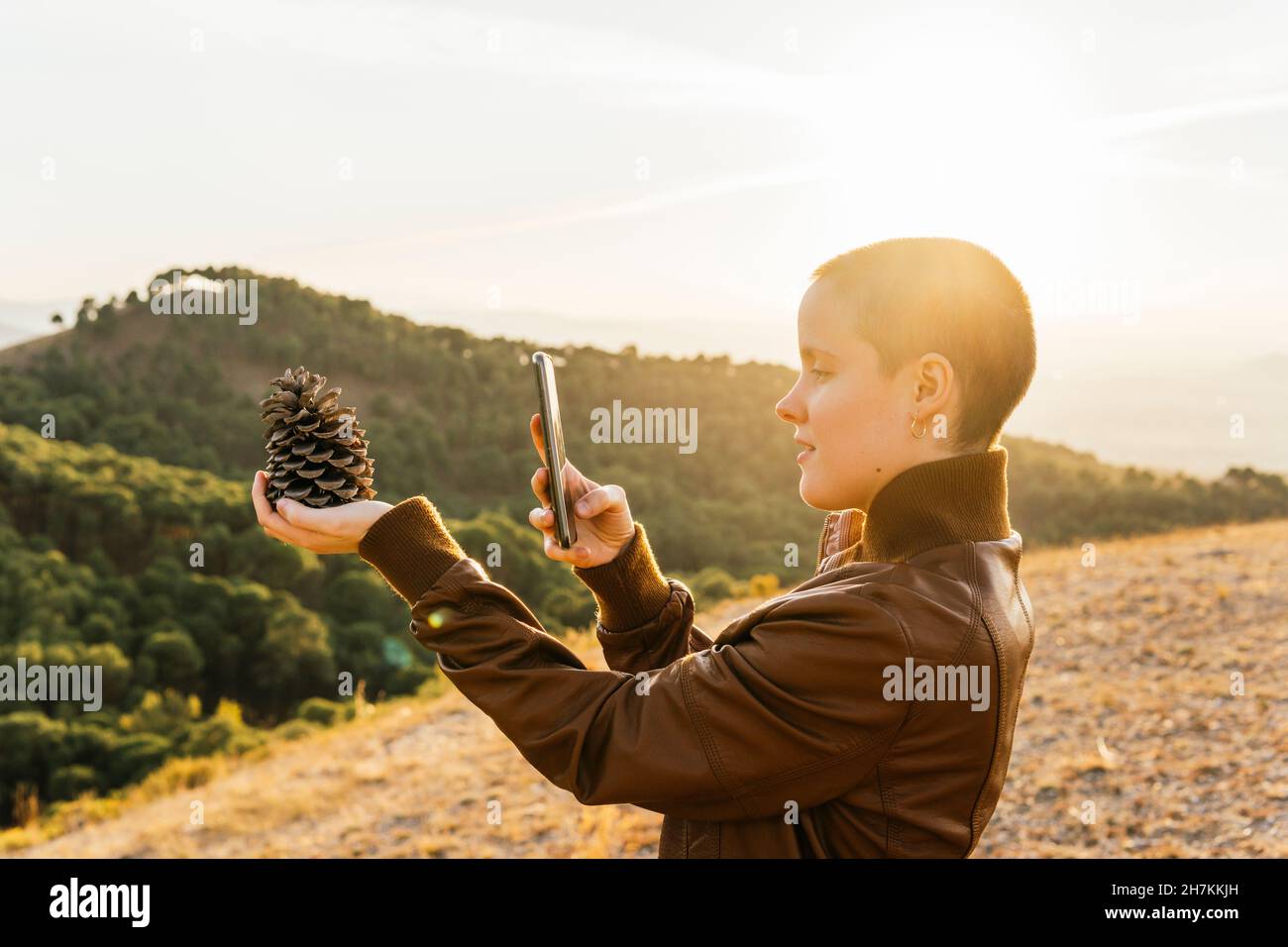 Femme photographiant le cône de pin à travers le téléphone portable sur la montagne Banque D'Images
