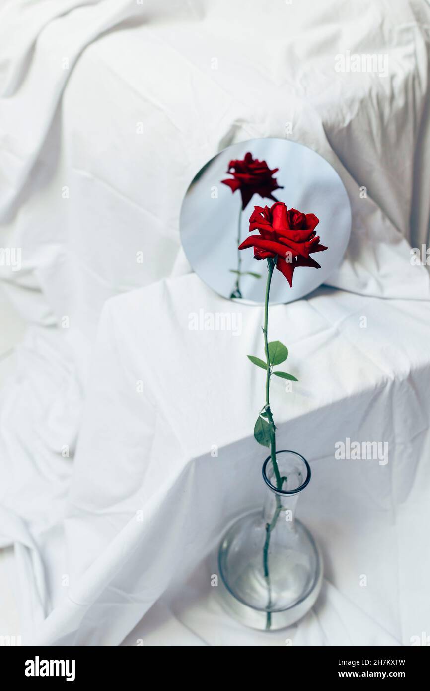 Rose rouge dans vase de fleur reflétée dans le miroir Banque D'Images