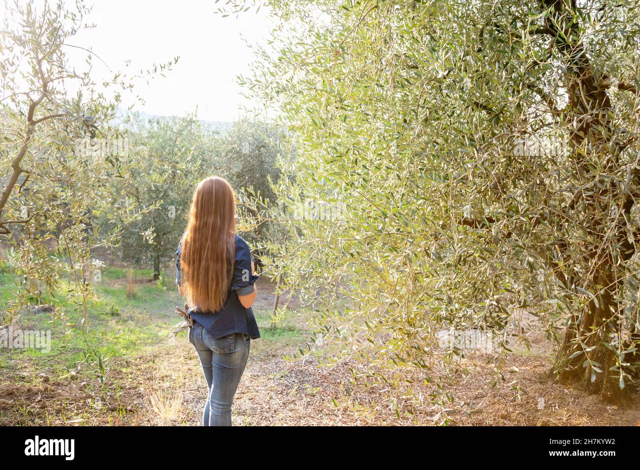 Jeune femme avec de longs cheveux debout près de l'oliveraie Banque D'Images