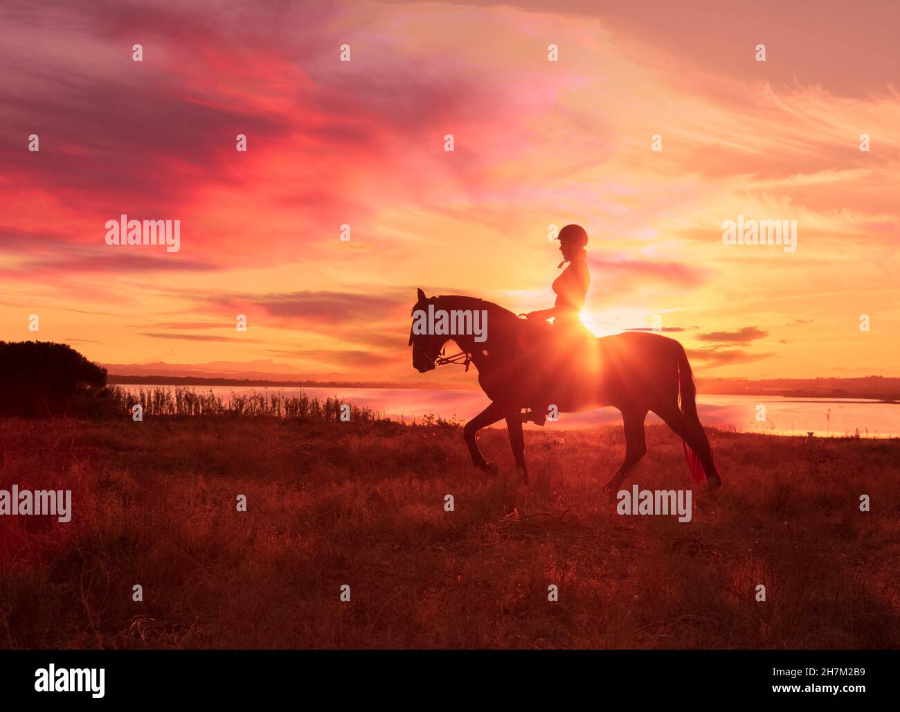 Silhouette femme à cheval au coucher du soleil Banque D'Images