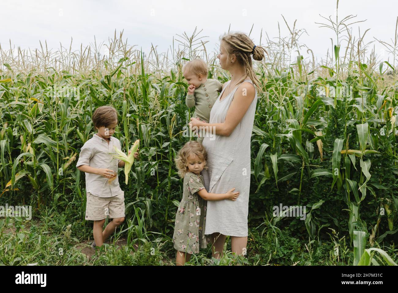 Mère avec son fils et ses filles dans le champ de maïs Banque D'Images