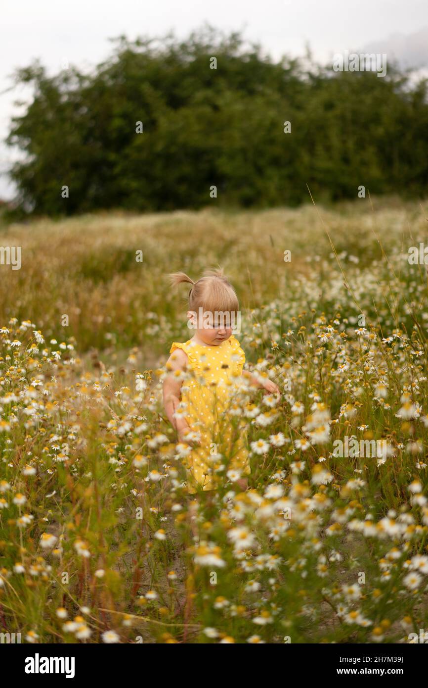 Petite fille mignonne marchant au milieu de fleurs sur la prairie Banque D'Images