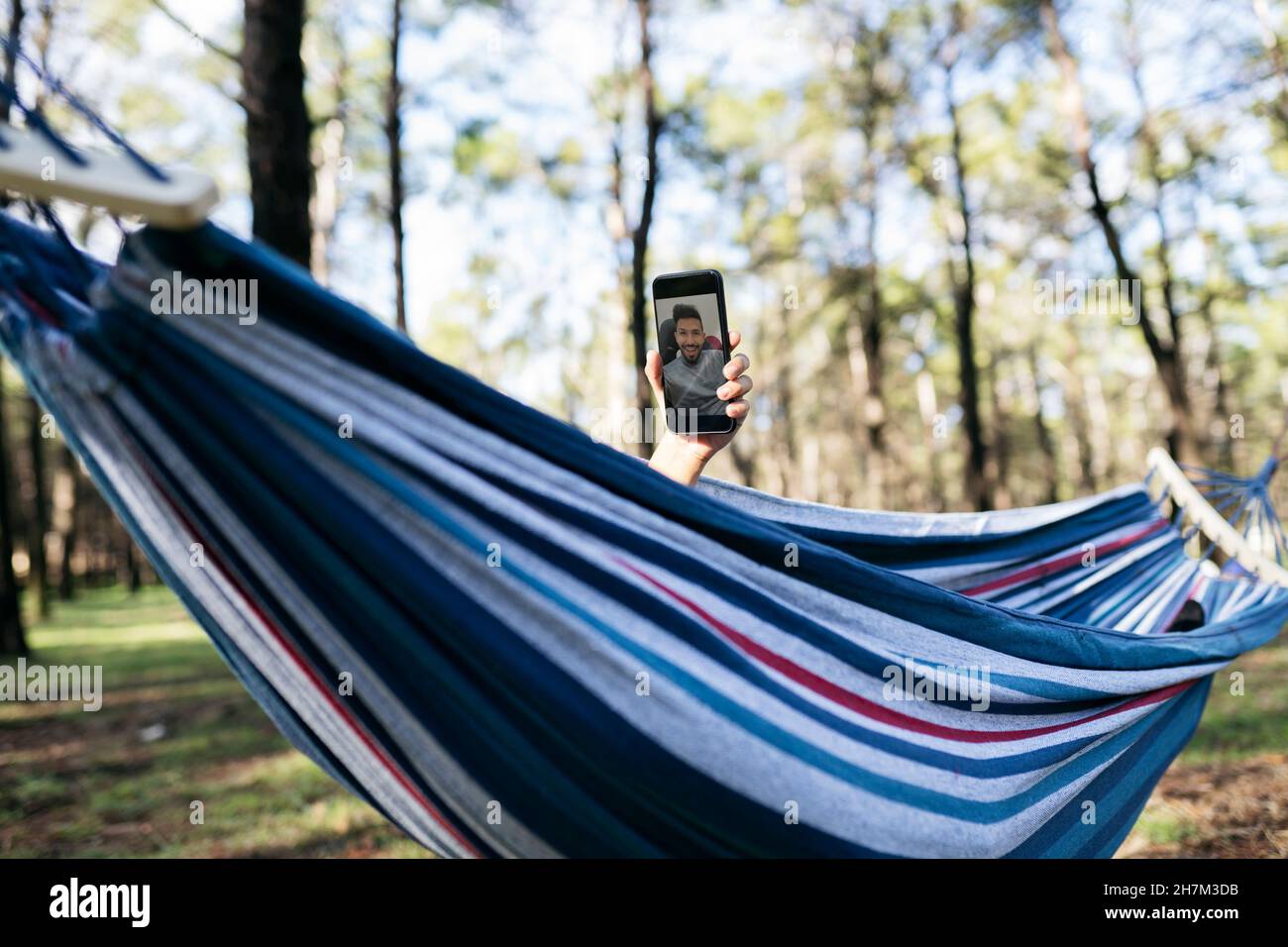 Chien Akita blanc qui regarde loin du parc Banque D'Images