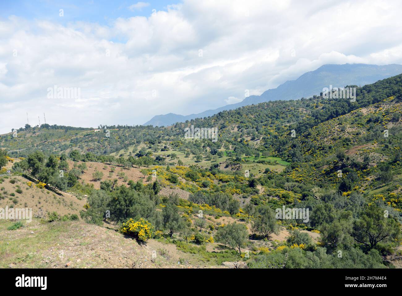 Paysages de la région des montagnes de Rif au nord du Maroc. Banque D'Images