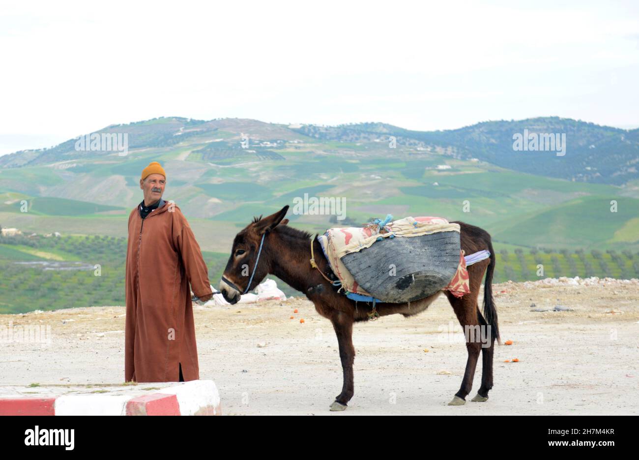 Un homme marocain avec son âne dans le nord rural du Maroc. Banque D'Images