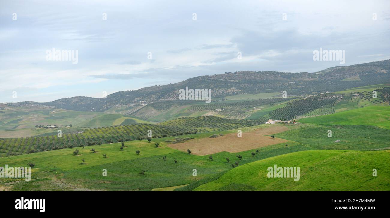 Paysages agricoles dans le nord du Maroc Banque D'Images