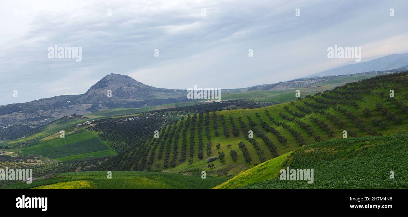 Paysages agricoles dans le nord du Maroc Banque D'Images