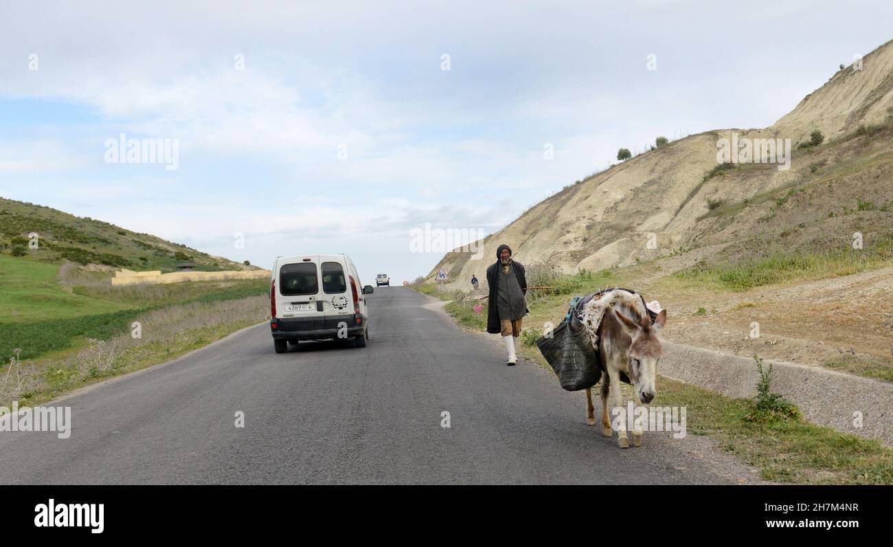Un homme marocain avec son âne dans le nord rural du Maroc. Banque D'Images