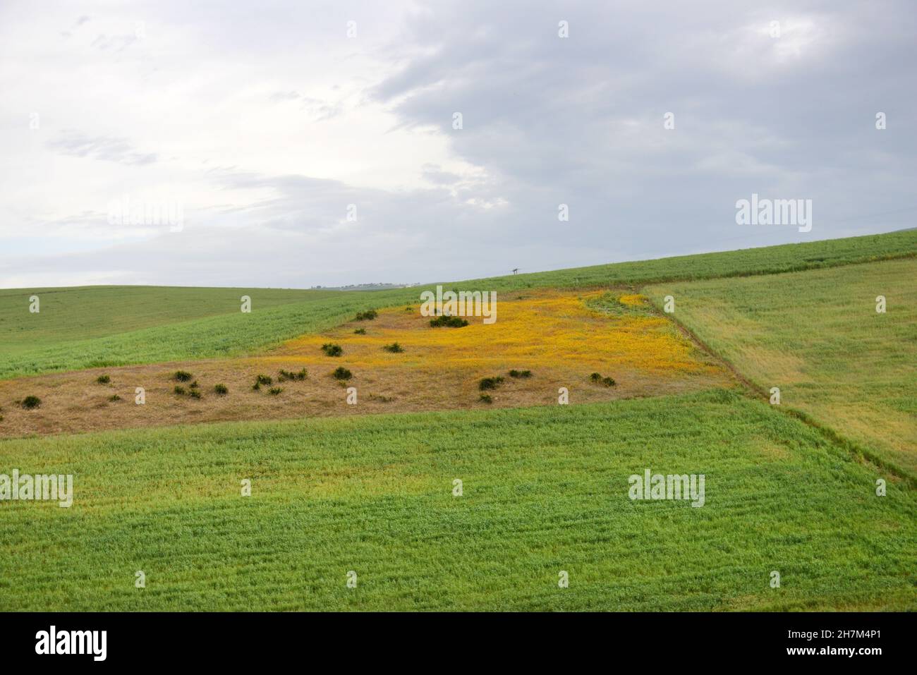 Paysages agricoles dans les montagnes de Rif au nord du Maroc. Banque D'Images