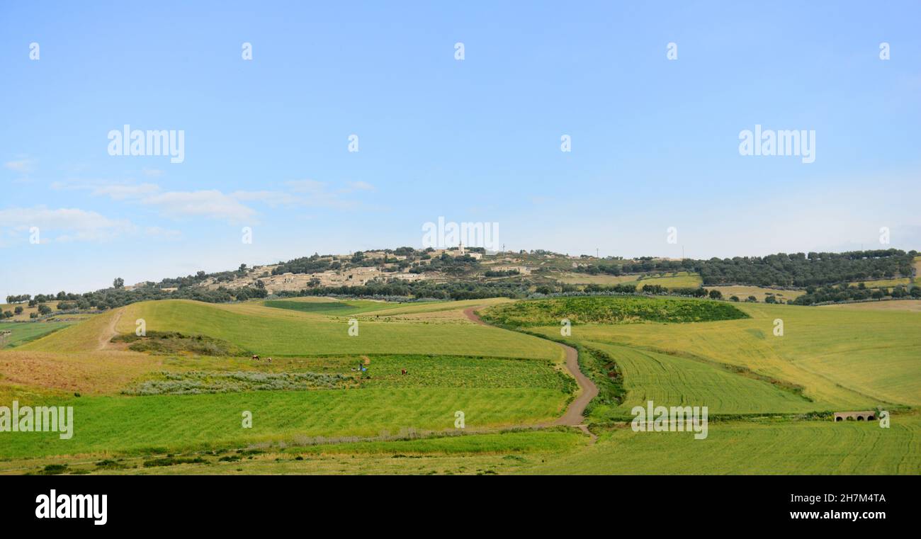 Paysages agricoles dans le nord du Maroc. Banque D'Images