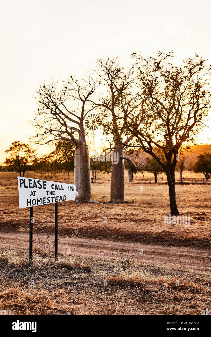 Un panneau de bienvenue à côté d'une piste de terre avec des boab en arrière-plan au lever du soleil à la station de repos de Diggers, Wyndham, Australie occidentale, Australie. Banque D'Images