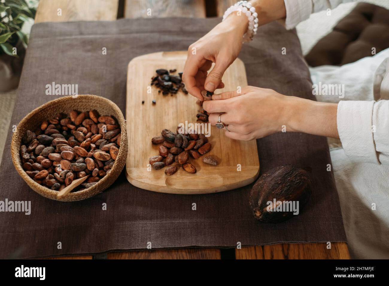 Les mains épluchant des haricots cacao bio sur une table en bois, des pointes de cacao, la fabrication artisanale de chocolat dans un style rustique pour la cérémonie sur la table.Dégustation Banque D'Images