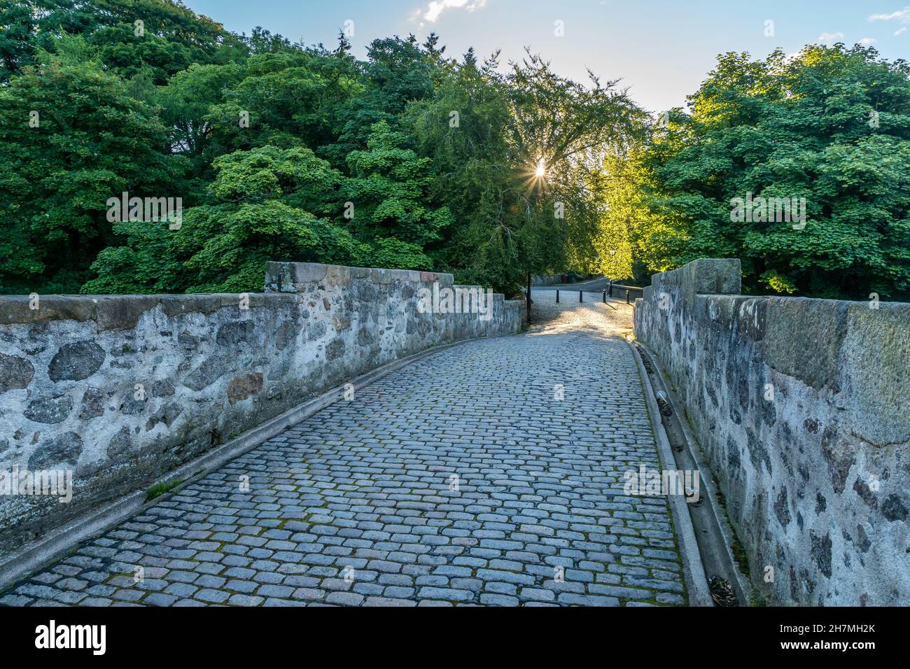 Pont Balgownie arbres et soleil, Aberdeen. Banque D'Images