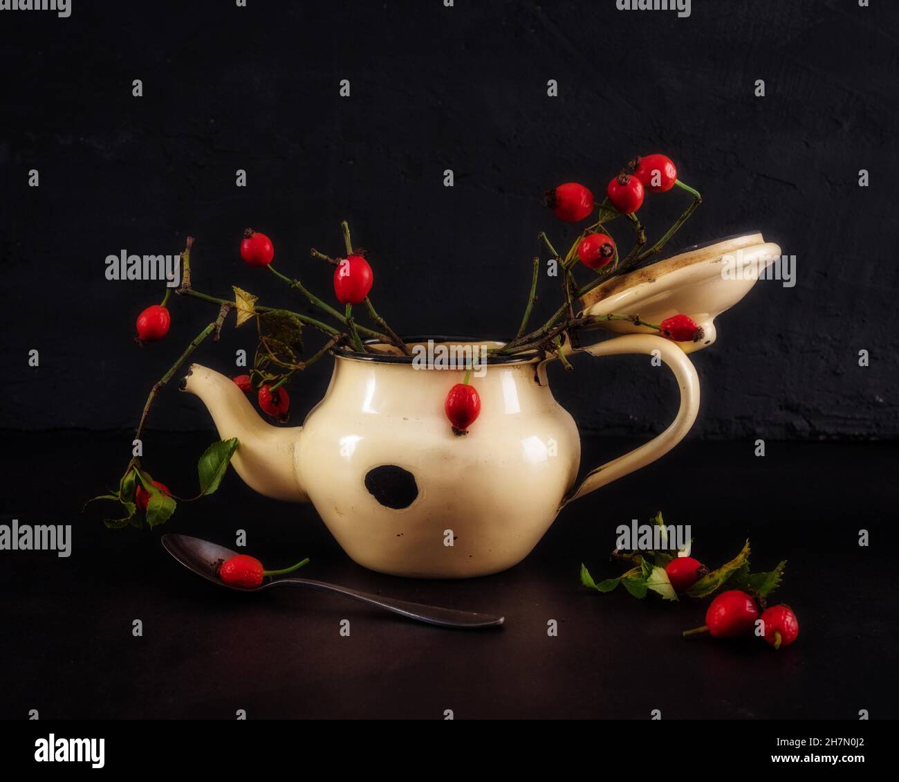 Still Life avec Old Teapot et Rose hanches Banque D'Images