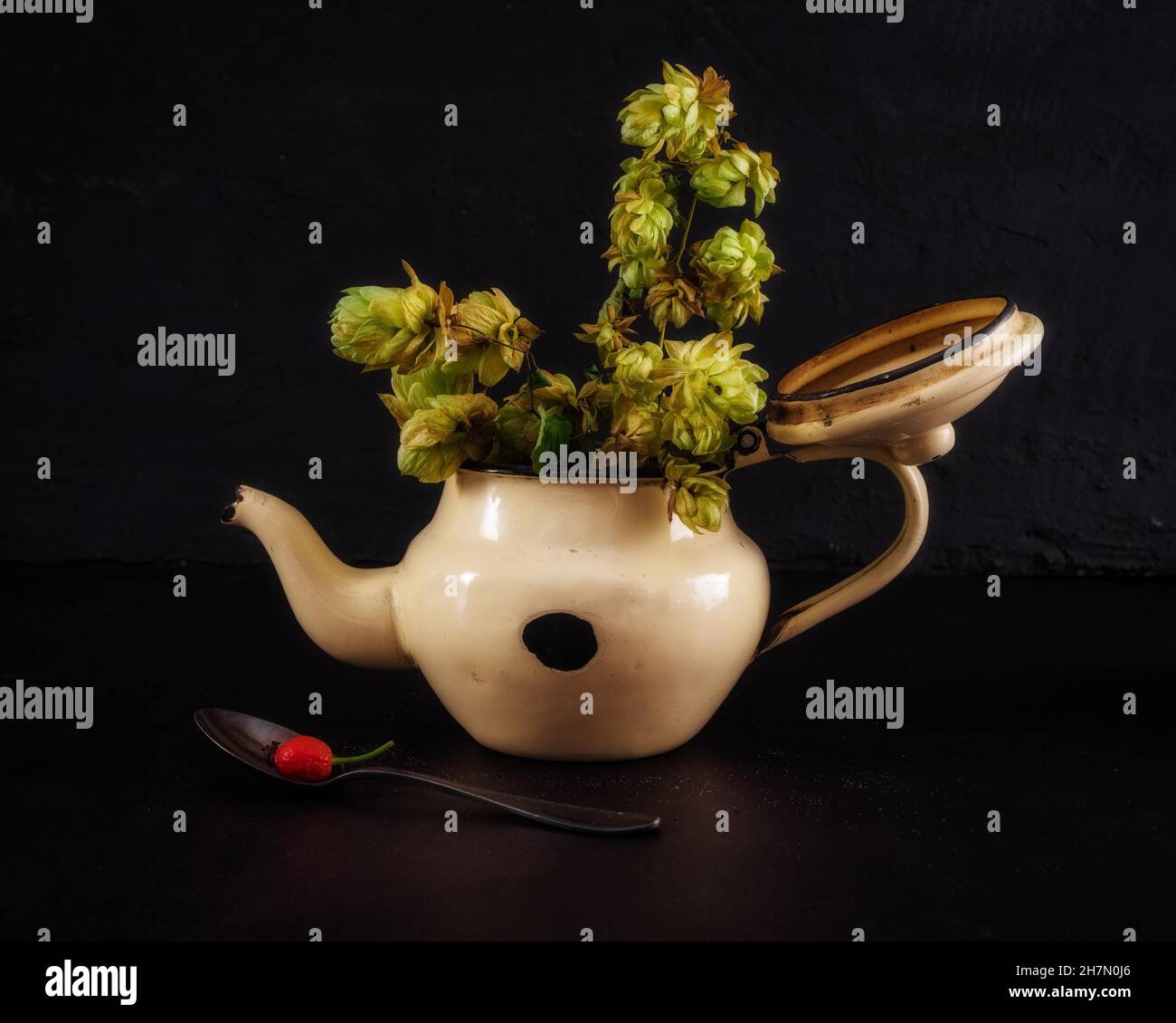 Still Life with Old Teapot, Hop Cone et Rosehip on Spoon Banque D'Images