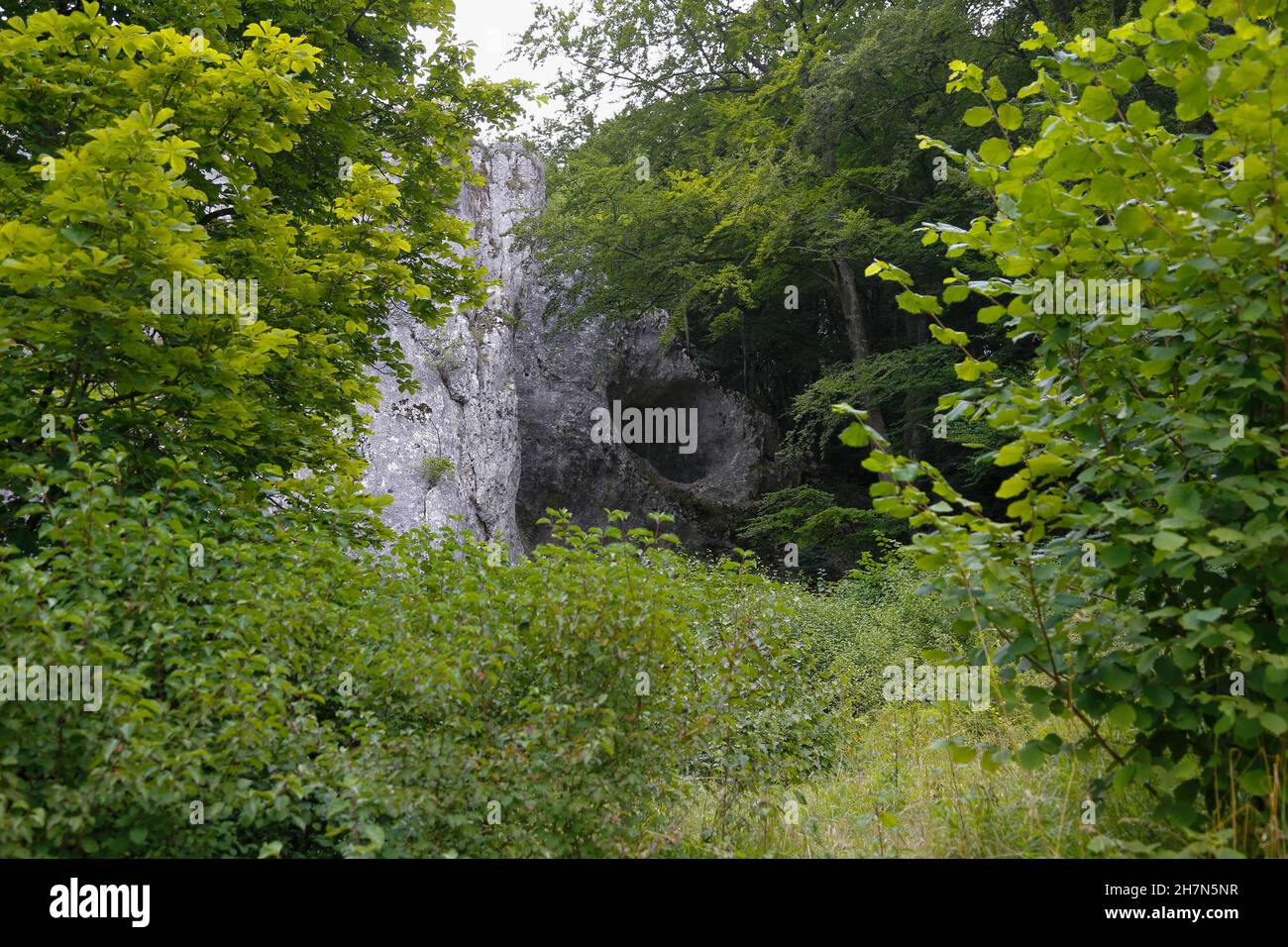 Hohle Fels, géotope troglodytique dans l'Alb souabe, parc mondial de l'UNESCO, Schelklingen, Bade-Wurtemberg, Allemagne Banque D'Images