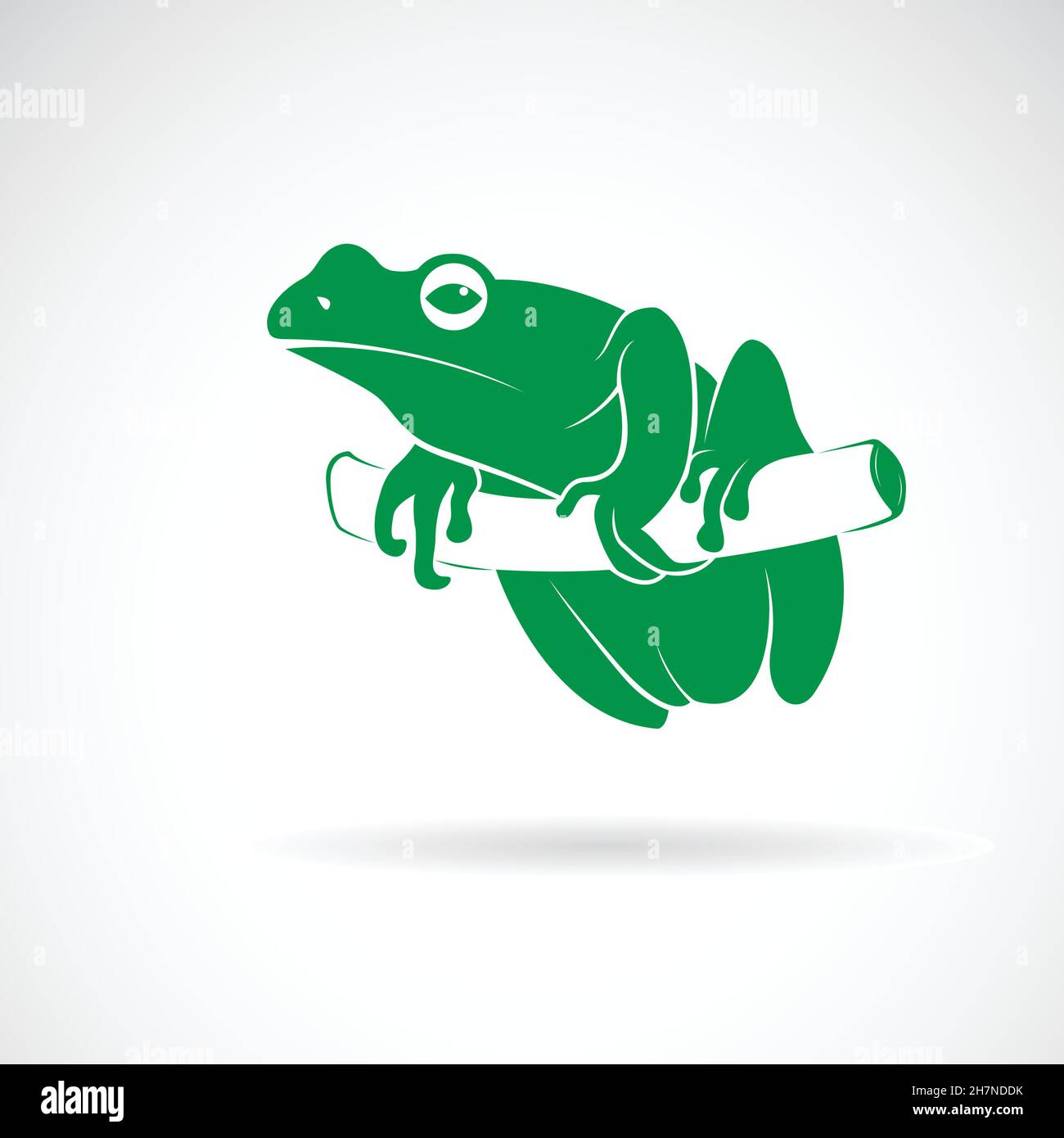 Vecteur de grenouille verte sur une branche d'arbre isolée sur fond blanc.Animal.Amphibiens.Illustration vectorielle superposée facile à modifier. Illustration de Vecteur