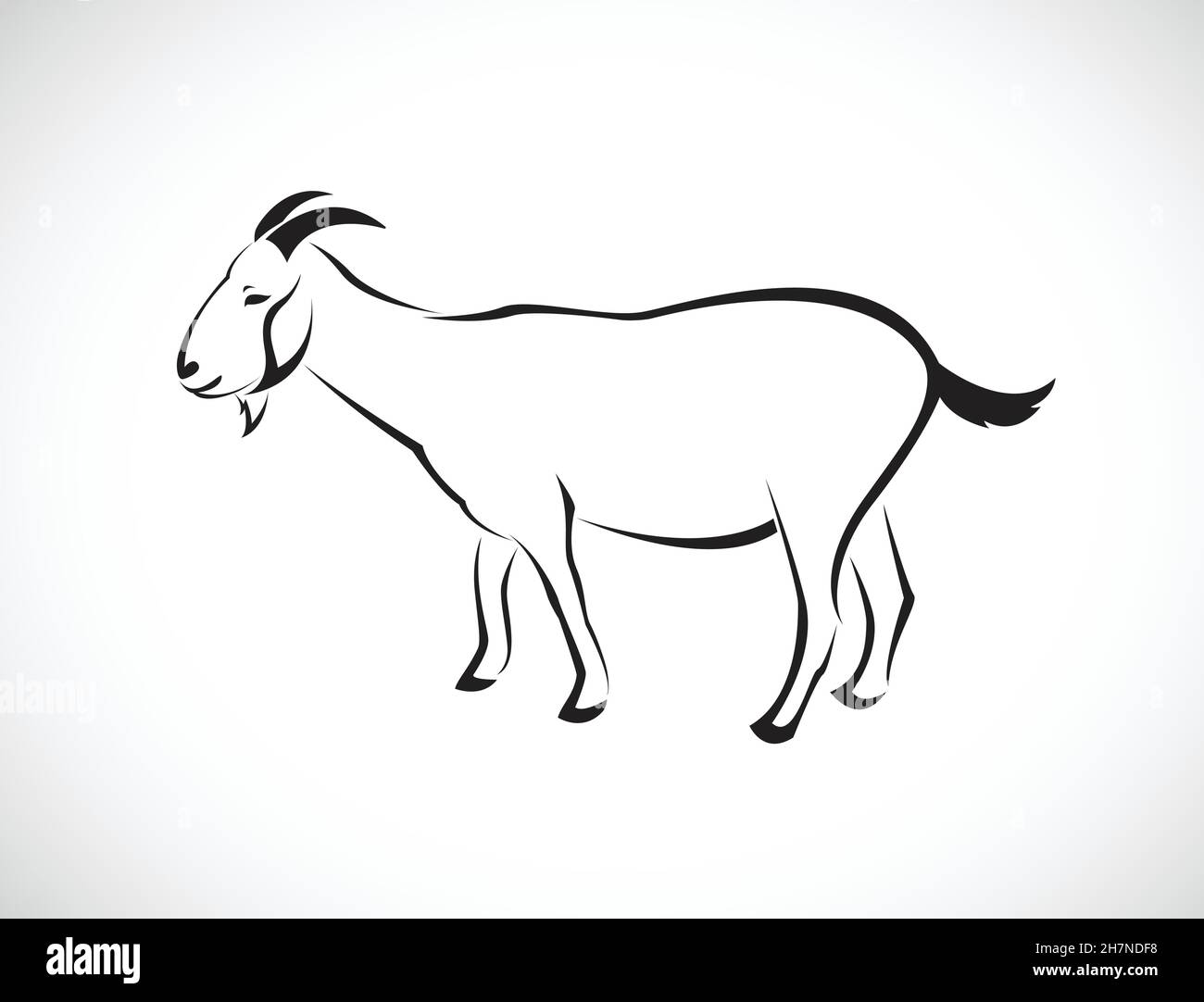Vecteur d'une chèvre sur fond blanc.Illustration vectorielle superposée facile à modifier.Animaux sauvages. Illustration de Vecteur