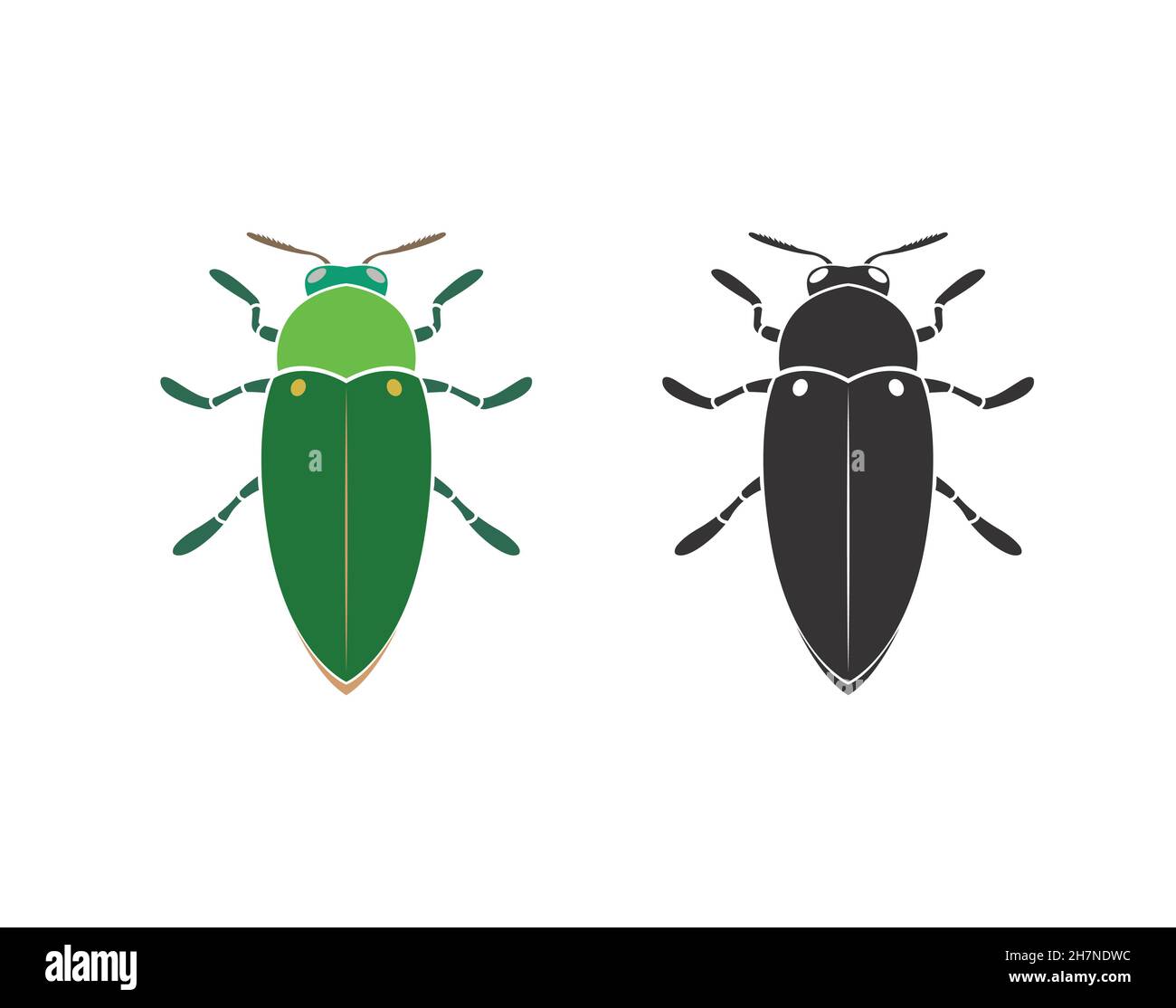 Vecteur de coléoptère sur fond blanc.Insecte.Animal.Coléoptère.Illustration vectorielle superposée facile à modifier. Illustration de Vecteur