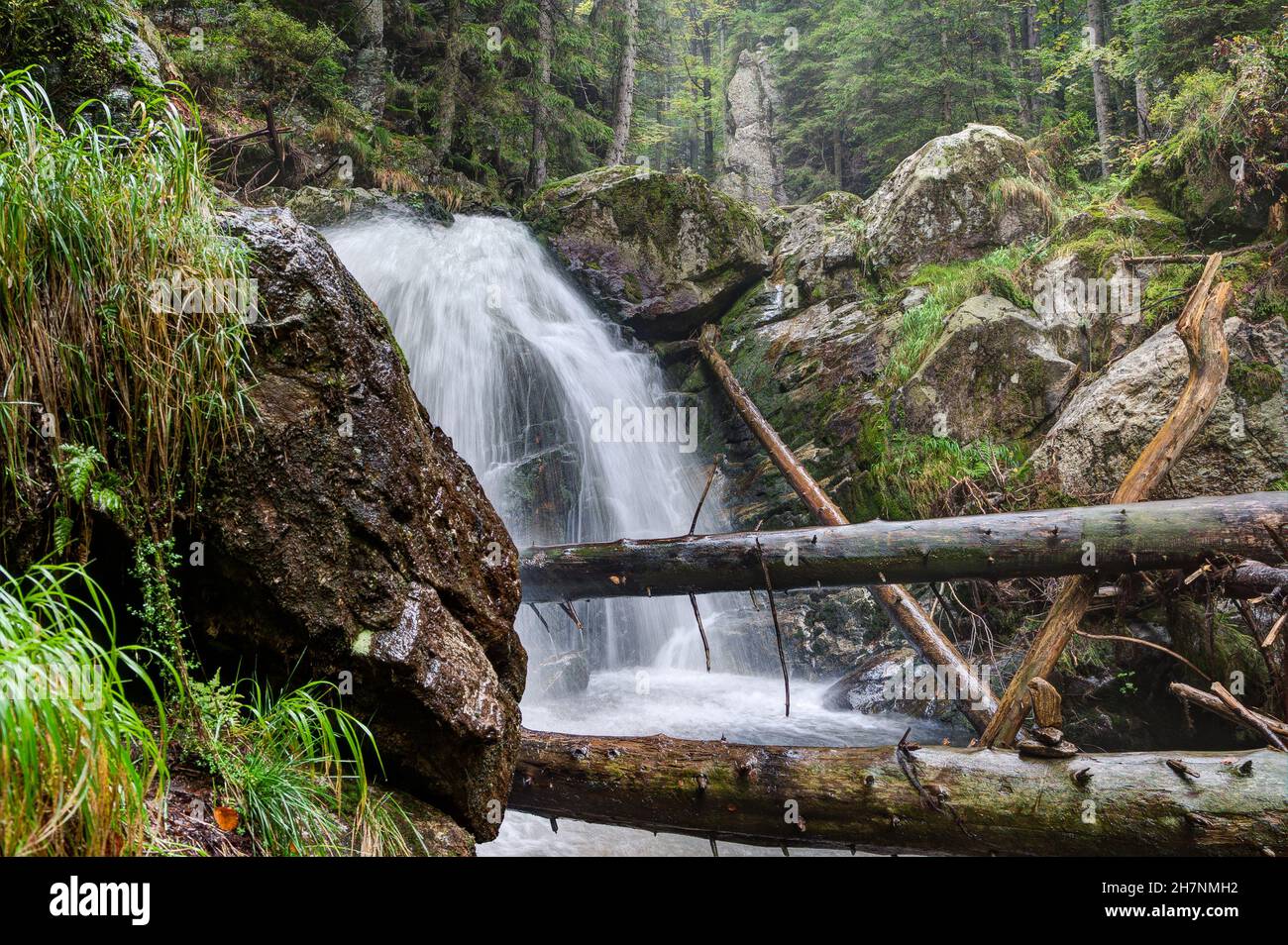 Le Rissbach se précipite à travers la pittoresque gorge de Rißloch, qui est l'un des plus beaux lieux de spectacles naturels et de randonnée de la région Banque D'Images