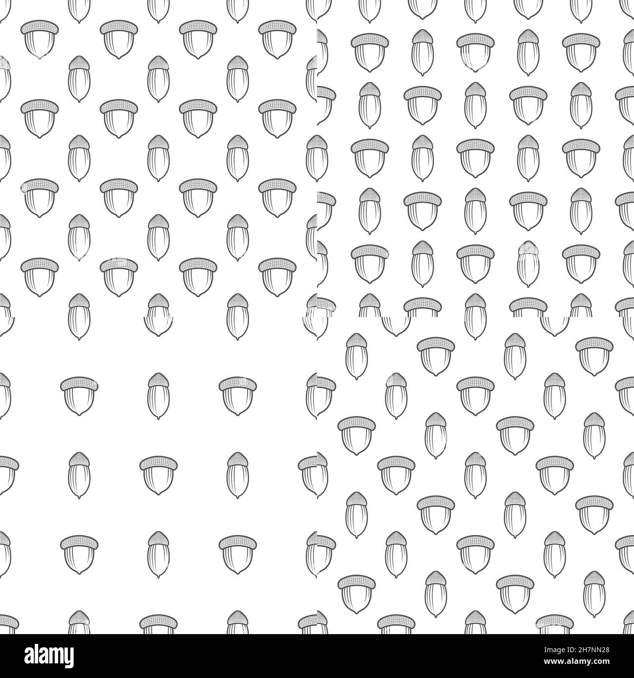 Ensemble de motifs sans couture avec des glands en chêne.Arrière-plans vectoriels noir et blanc sur fond blanc. Illustration de Vecteur