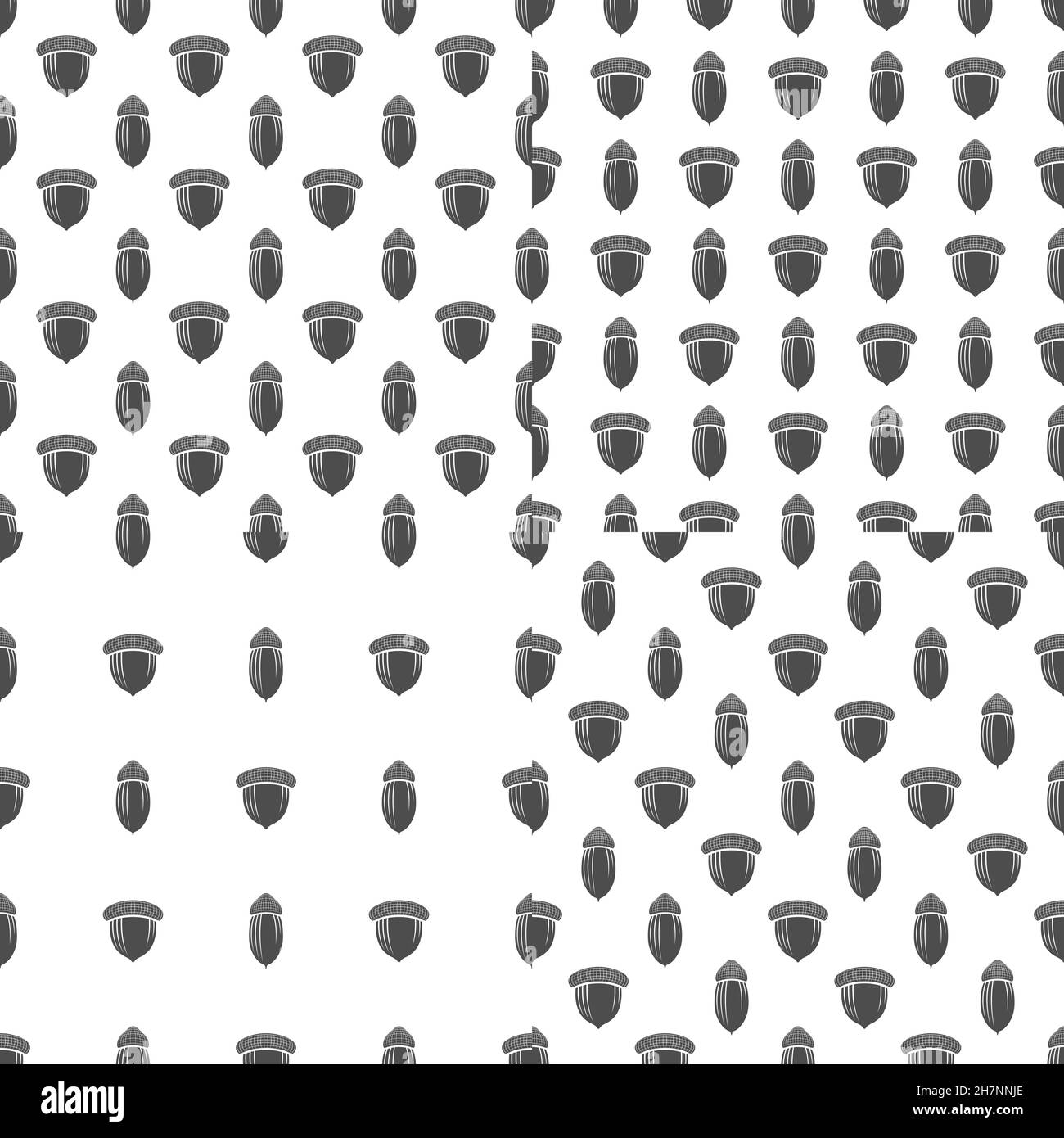 Ensemble de motifs sans couture avec des glands en chêne.Arrière-plans vectoriels noir et blanc sur fond blanc. Illustration de Vecteur