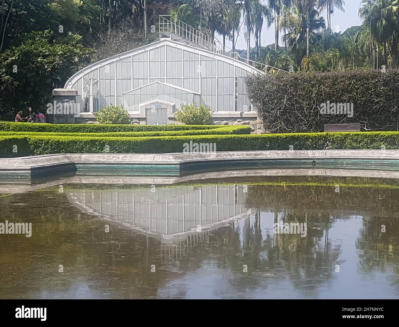 Serres dans le jardin botanique de São Paulo, Brésil. Banque D'Images