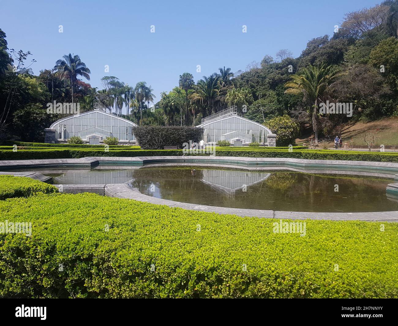 Serres dans le jardin botanique de São Paulo, Brésil. Banque D'Images