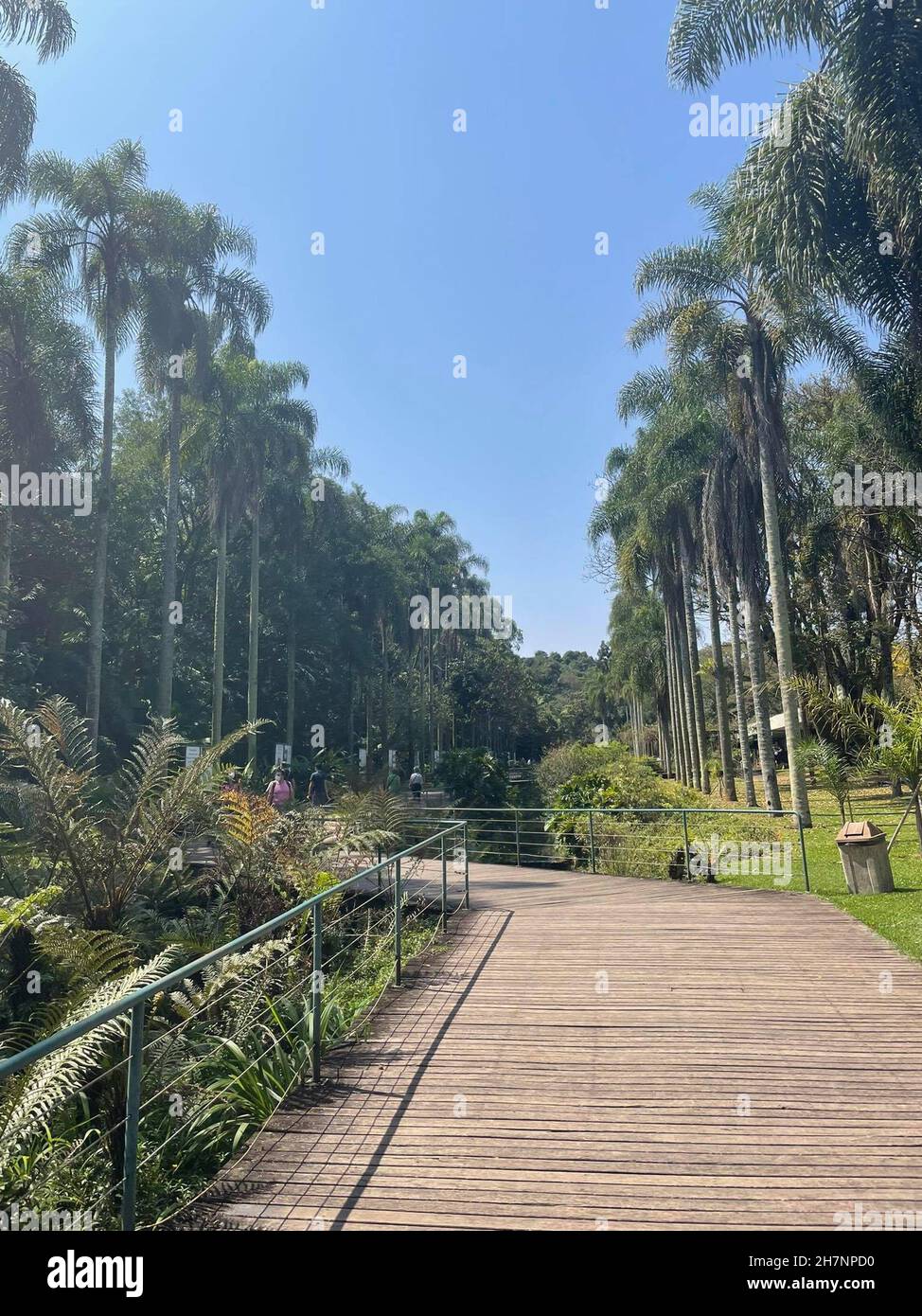 Entrée au jardin botanique de São Paulo, Brésil Banque D'Images