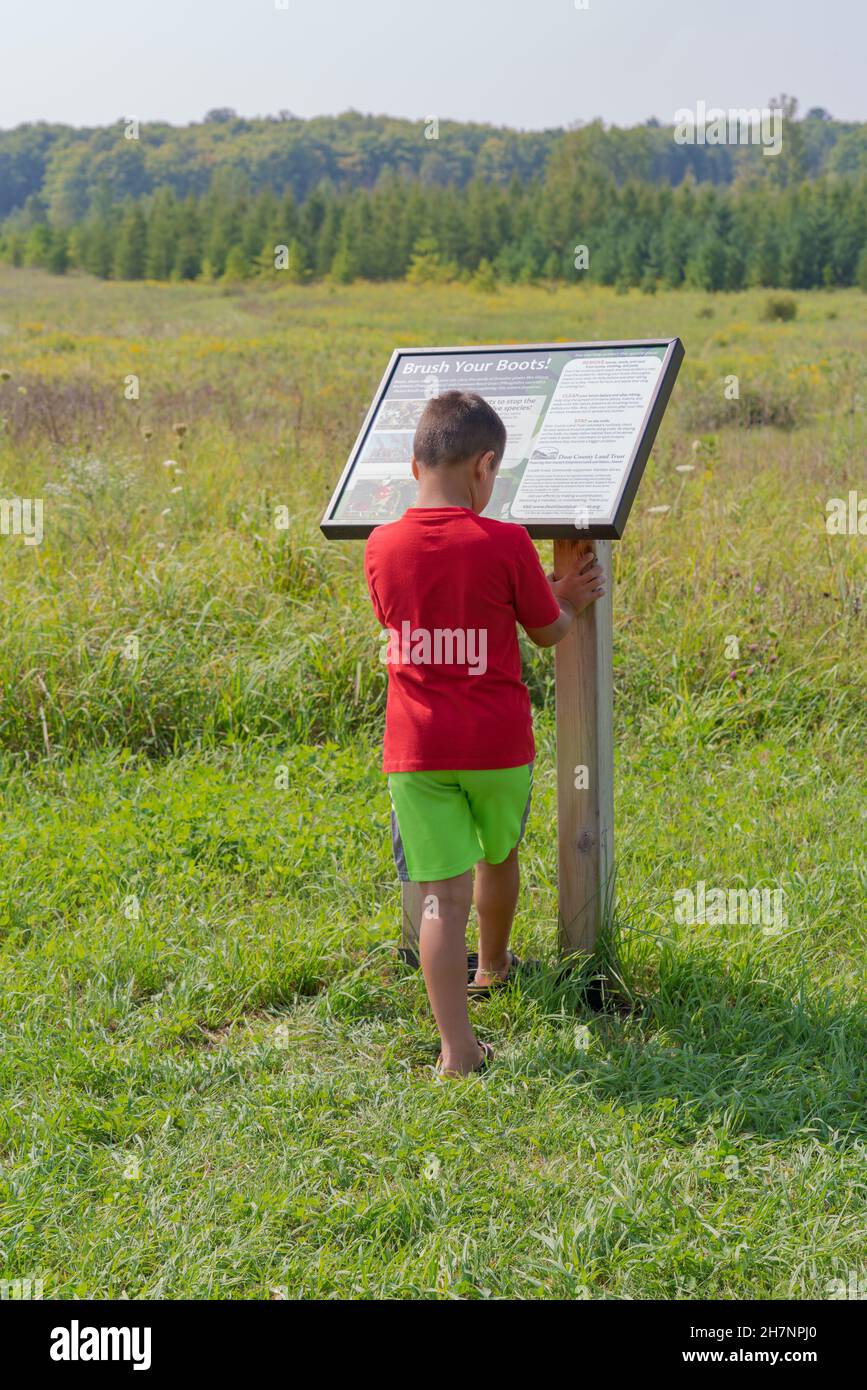 Les enfants apprécient un été après midi dans une réserve de Door County Land Trust près de ma maison dans le comté de Door Wisconsin. Banque D'Images