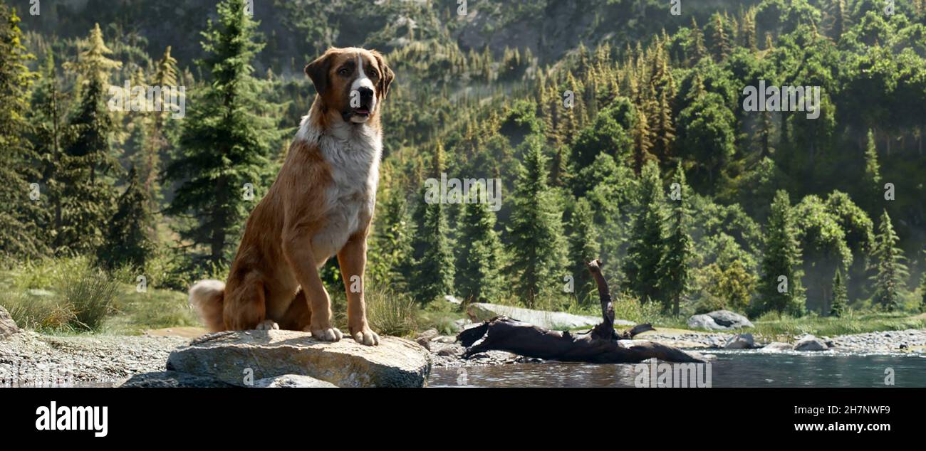 L’appel De La Forêt Jack London Banque d'image et photos - Alamy