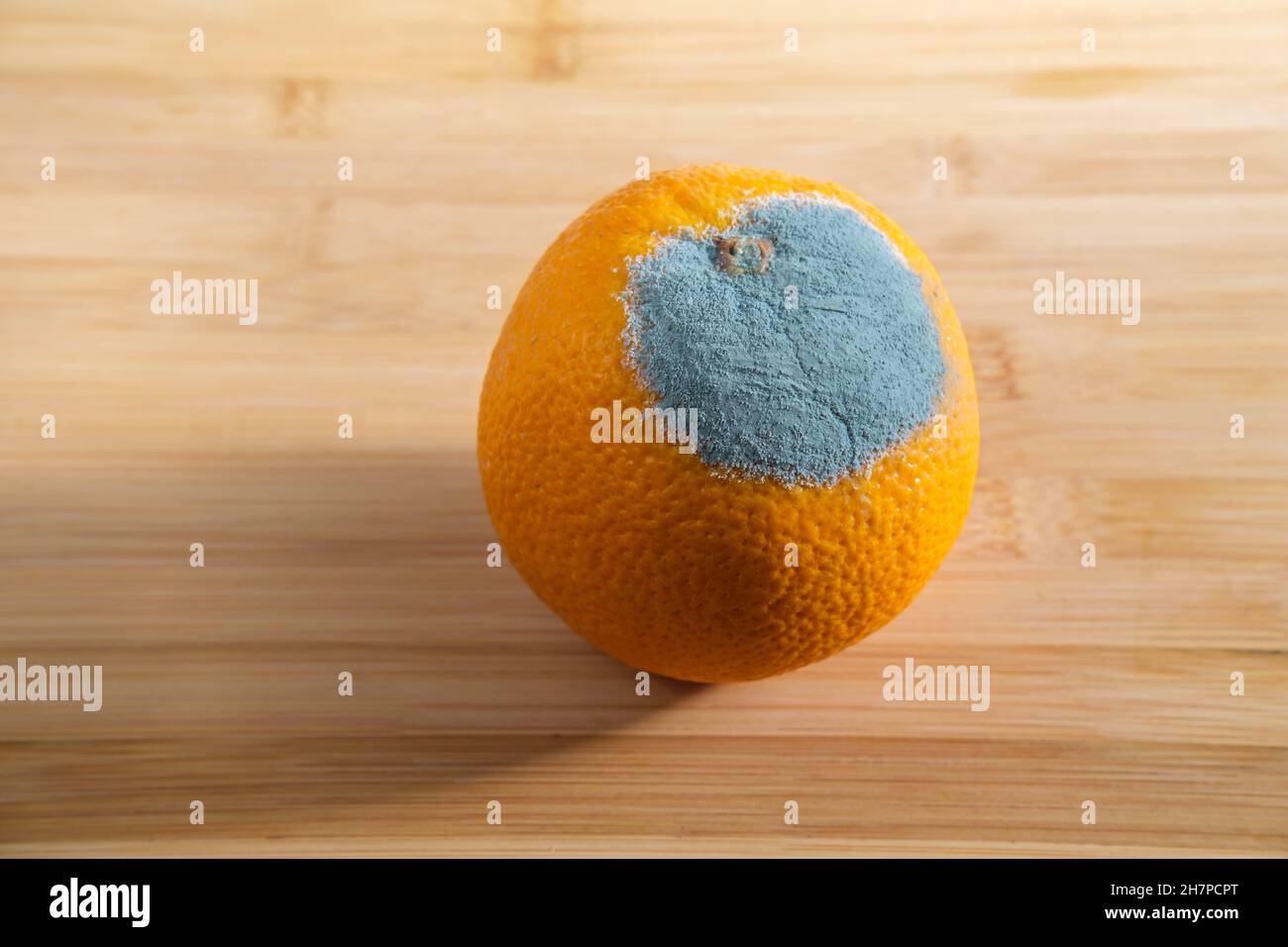 Sur l'orange mûr recouverte de moisissure bleue Penicillium digitatum Banque D'Images