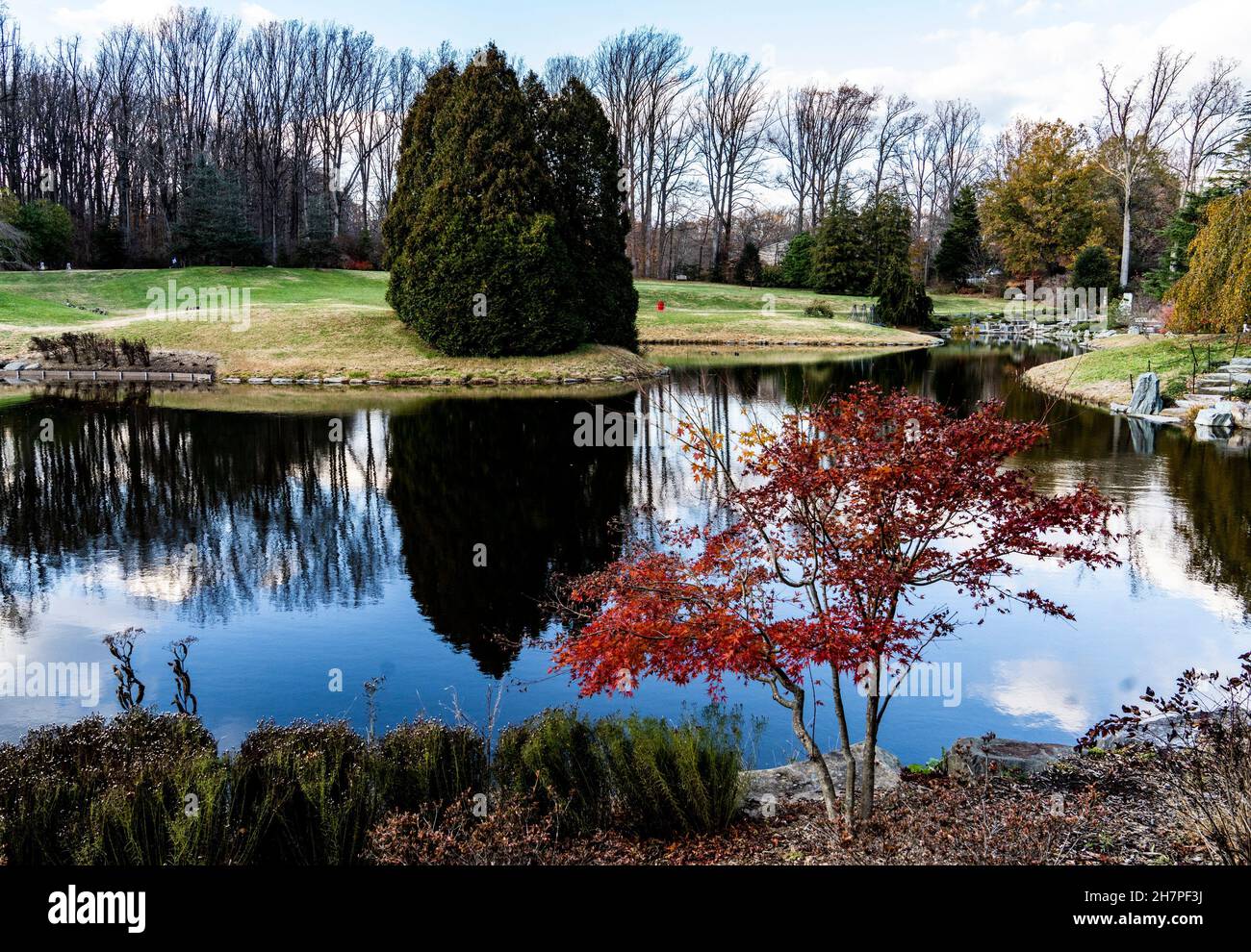 La formation de nuages résonnait dans les eaux claires d'un étang de parc. Banque D'Images