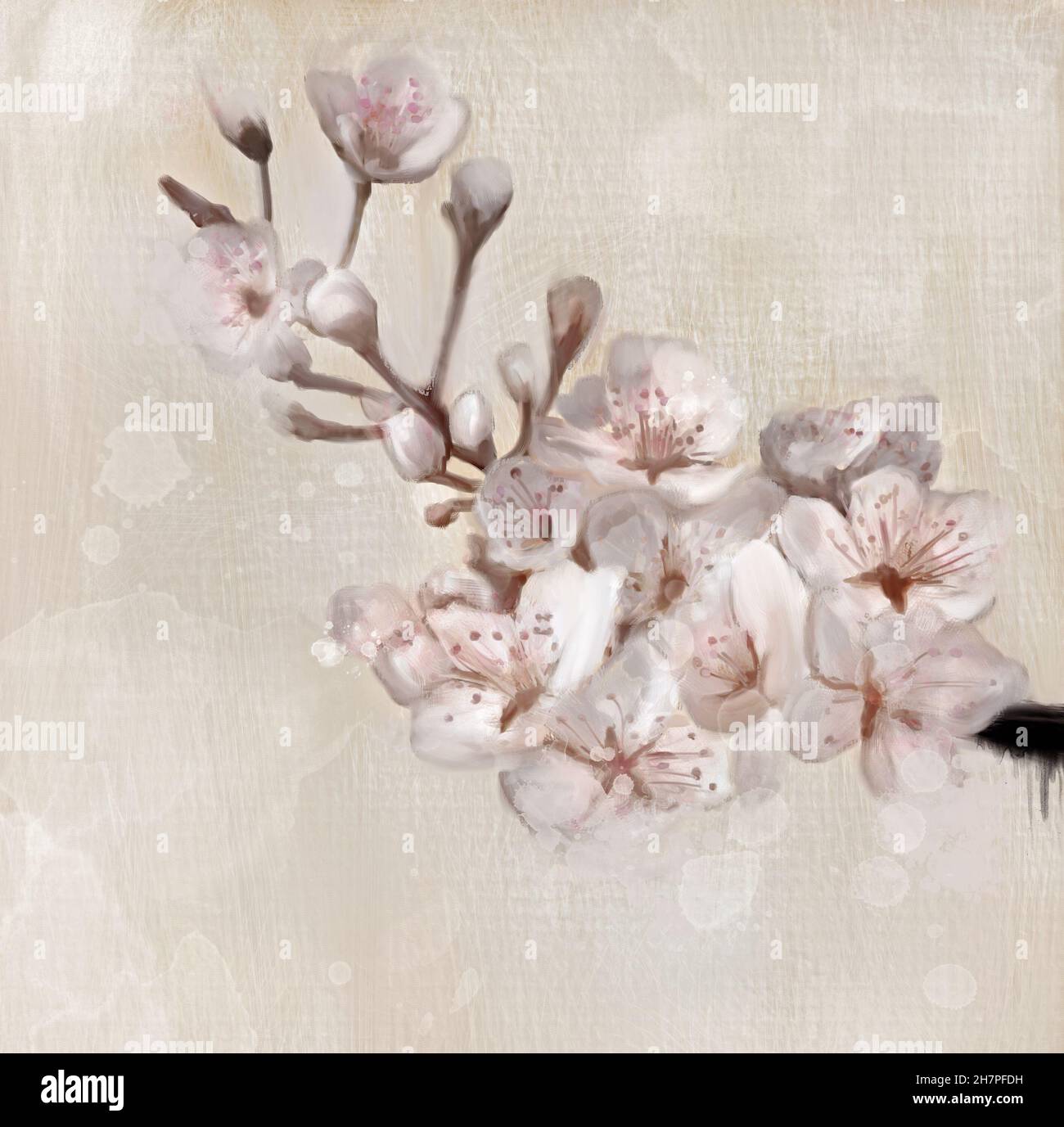 Collection de fleurs printanières et estivales – branche de fleurs de cerisier de style peinture à l'huile Banque D'Images
