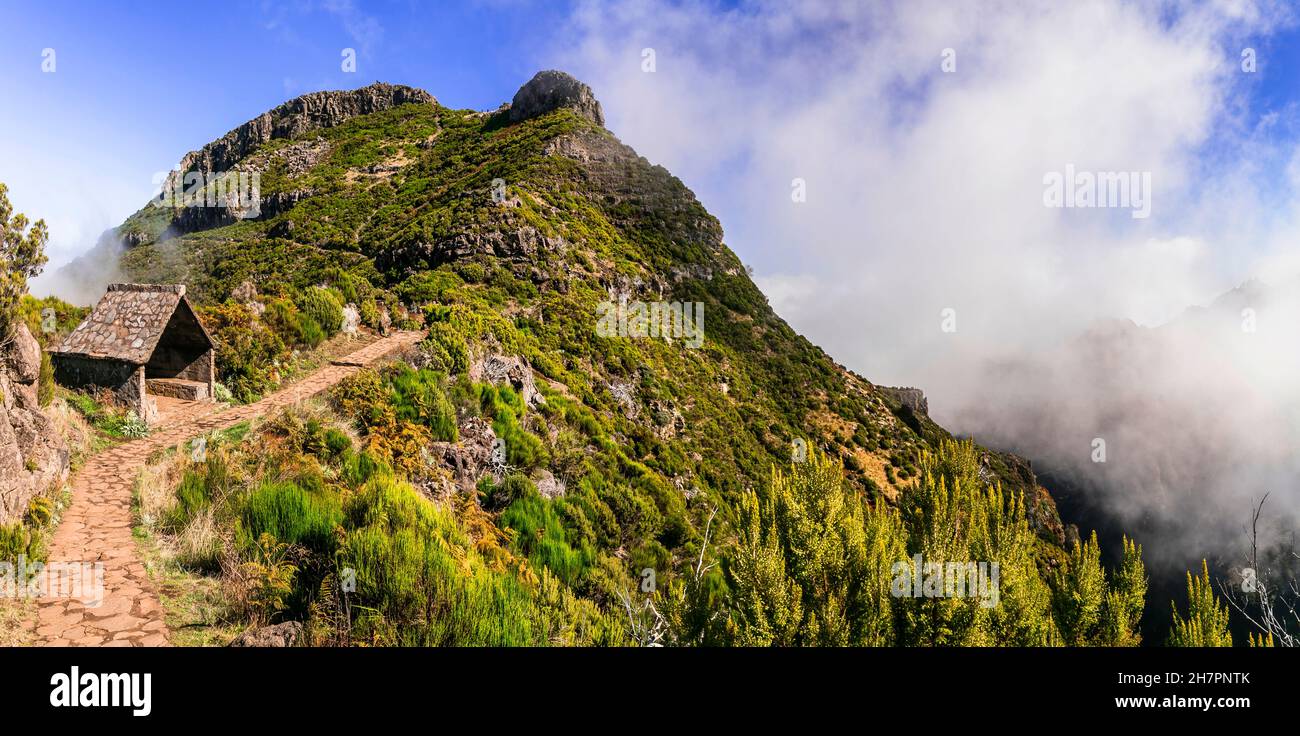 Randonnée dans les montagnes de l'île de Madère.Sentier pour Pico Ruivo point le plus élevé passant dans les nuages Banque D'Images