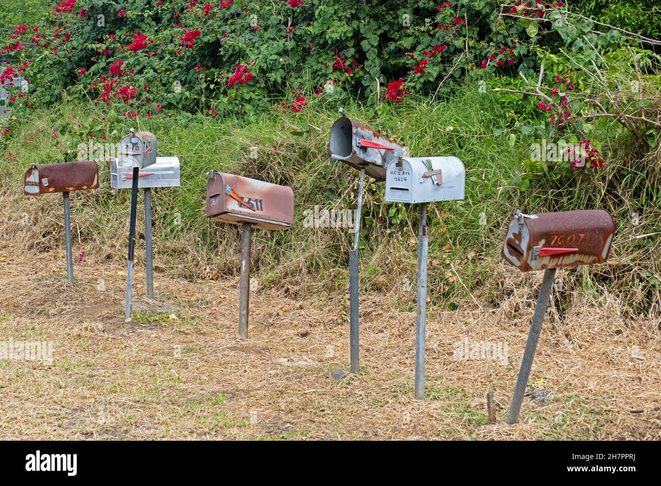 Rangée de boîtes aux lettres rouillées de style américain / boîtes aux lettres / boîtes aux lettres / boîtes aux lettres / boîtes aux lettres sur l'île des Caraïbes Puerto Rico, grandes Antilles Banque D'Images