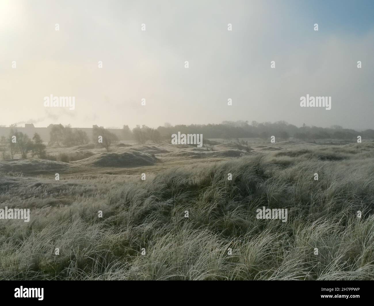 Froid matin d'hiver.Paysage d'hiver typique sur la côte de Weißenhäuser Strand en Allemagne Banque D'Images