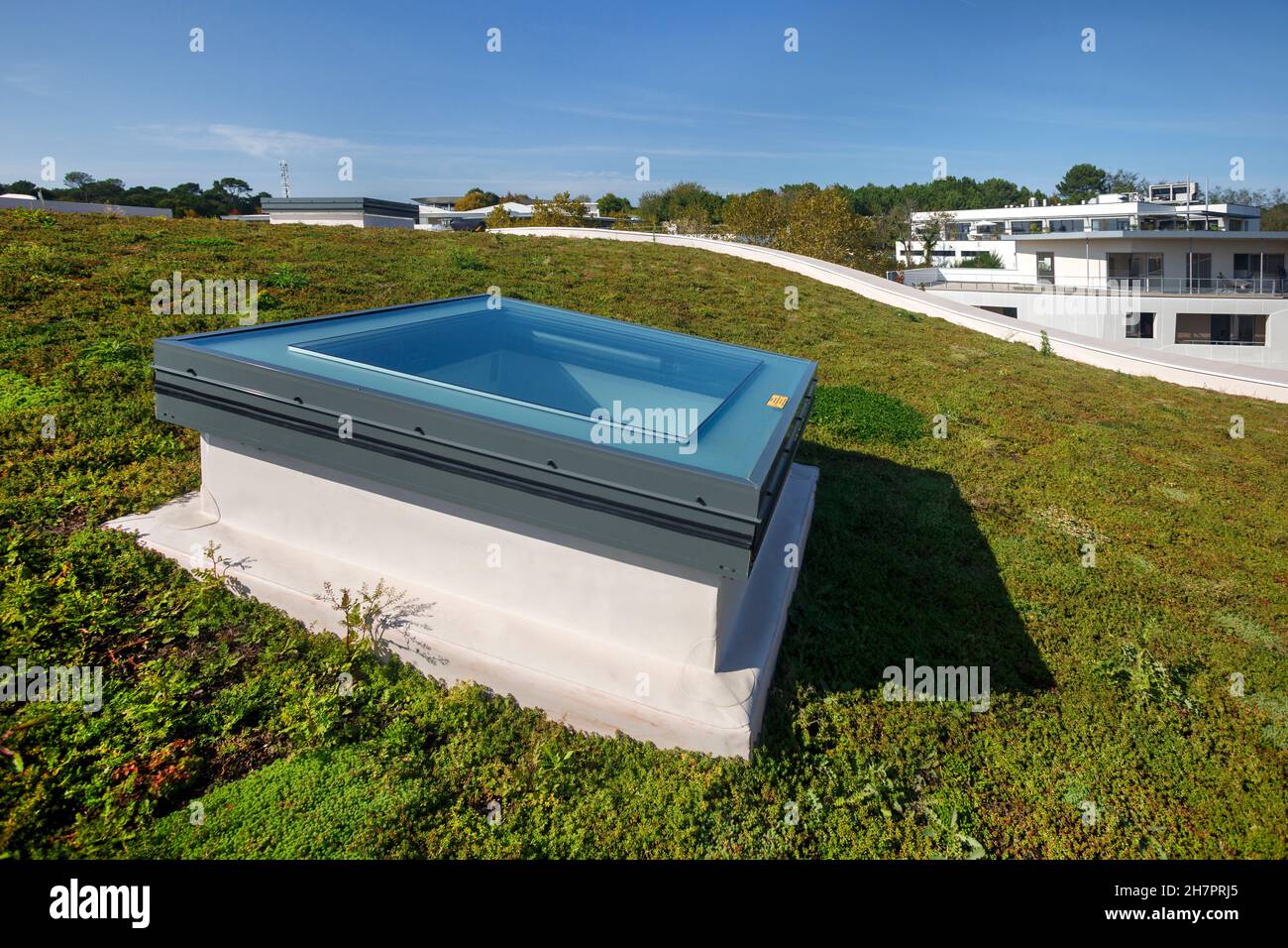 Toit vert sur un bâtiment tertiaire écologique (Aquitaine, France). Banque D'Images