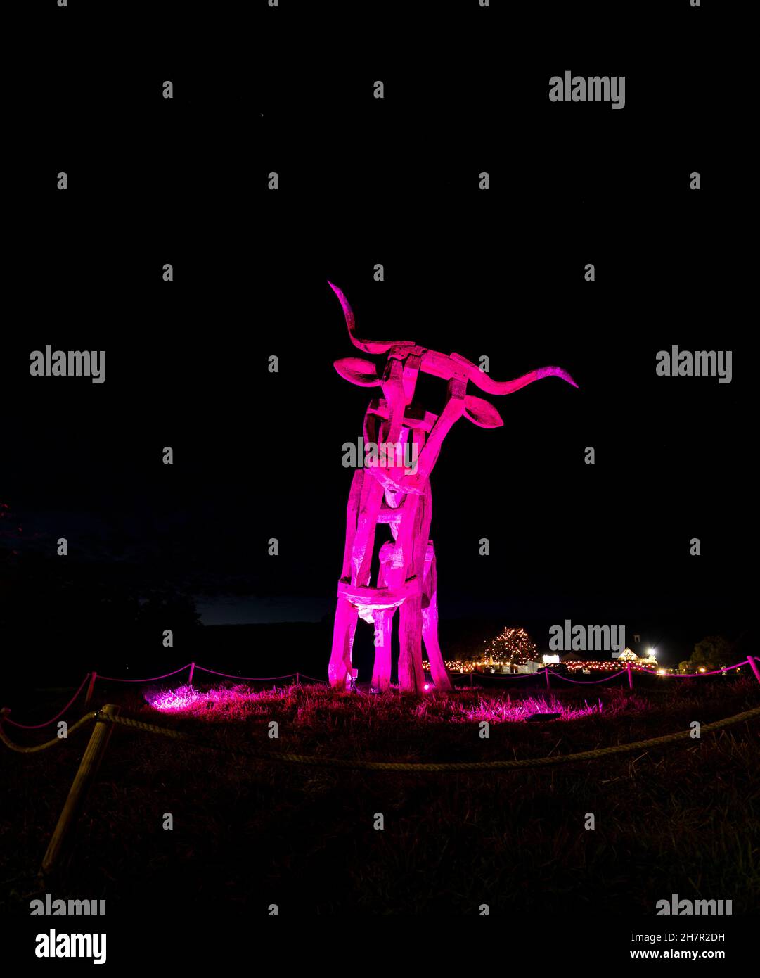 Noël.La célèbre statue de taureau éclairée en violet à l'entrée du centre de l'artisanat Taurus.Un site de Camphill Village. Banque D'Images