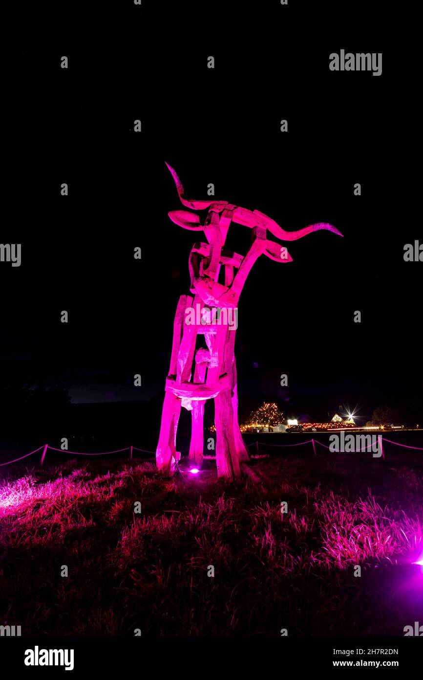 Noël.La célèbre statue de taureau éclairée en violet à l'entrée du centre de l'artisanat Taurus.Un site de Camphill Village. Banque D'Images