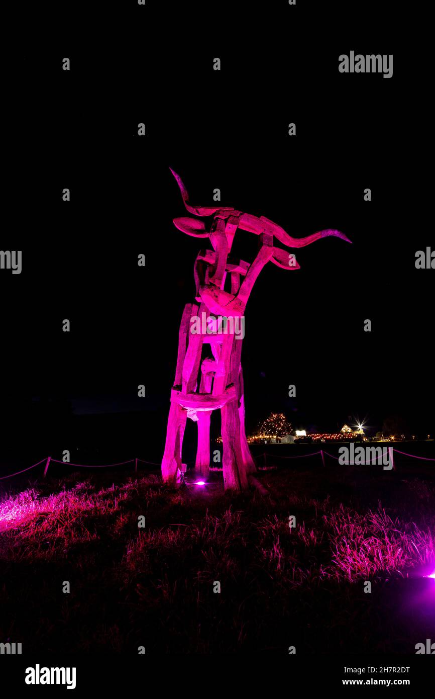 Noël.La célèbre statue de taureau éclairée en violet à l'entrée du centre de l'artisanat Taurus.Un site de Camphill Village. Banque D'Images