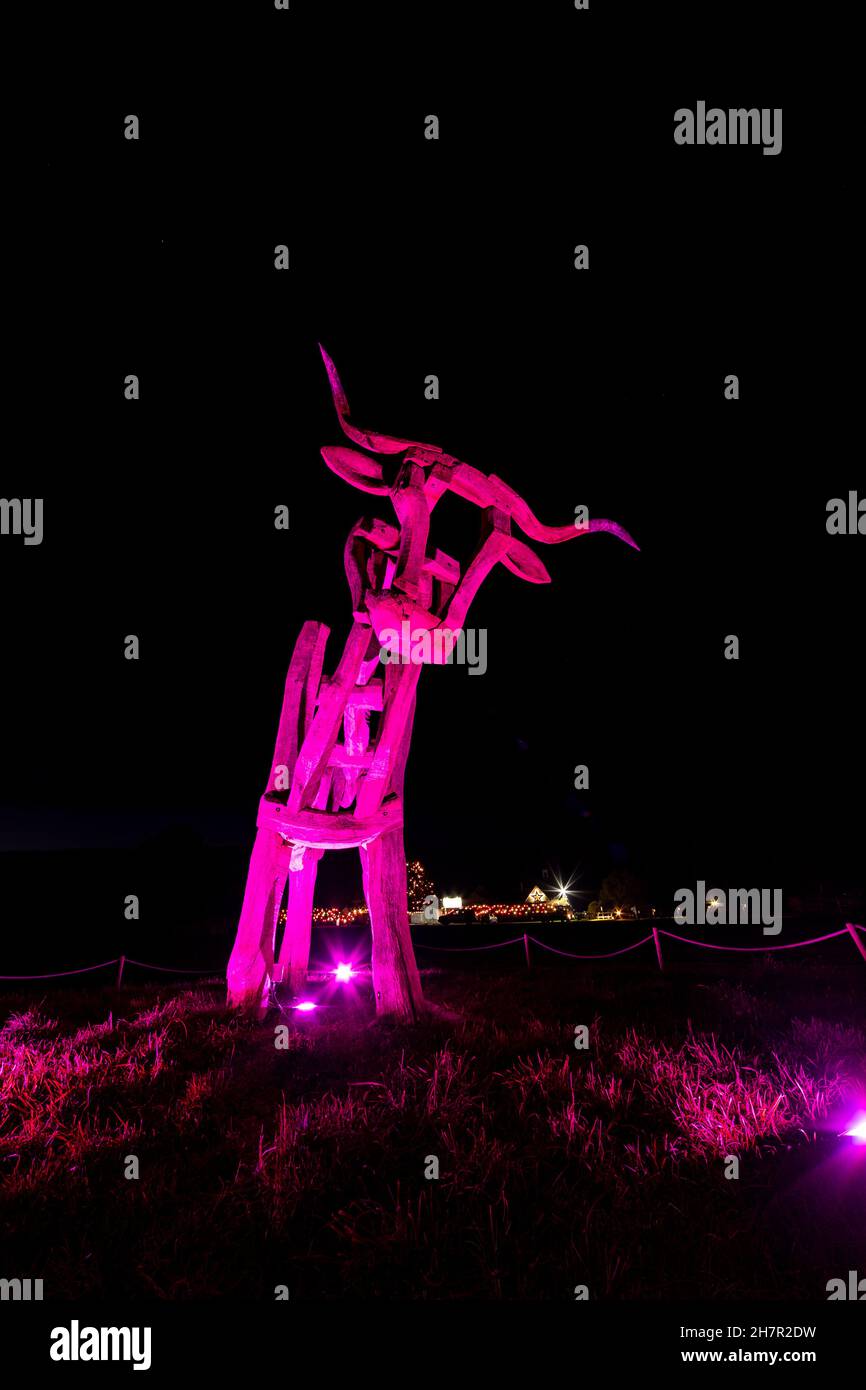 Noël.La célèbre statue de taureau éclairée en violet à l'entrée du centre de l'artisanat Taurus.Un site de Camphill Village. Banque D'Images