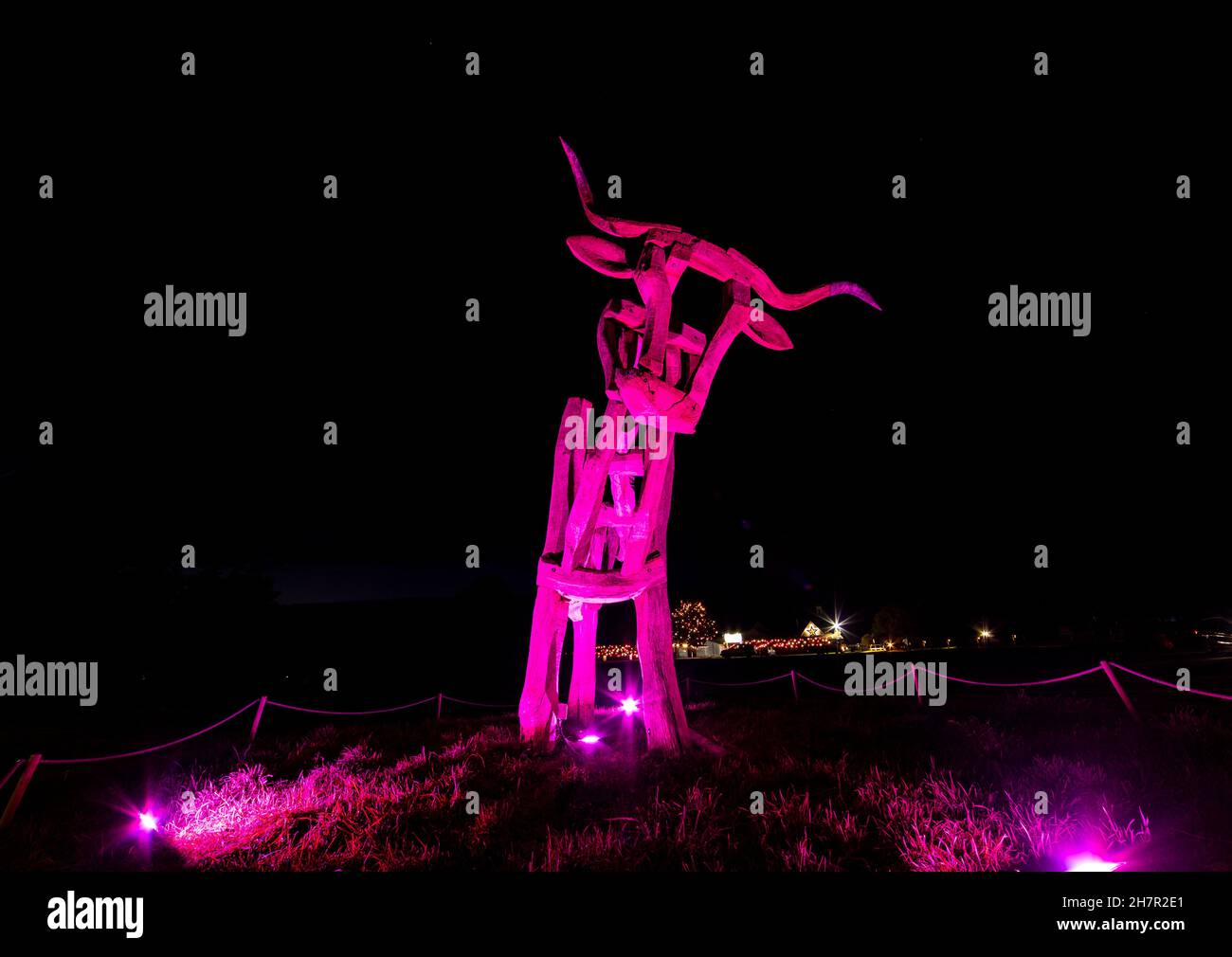 Noël.La célèbre statue de taureau éclairée en violet à l'entrée du centre de l'artisanat Taurus.Un site de Camphill Village. Banque D'Images