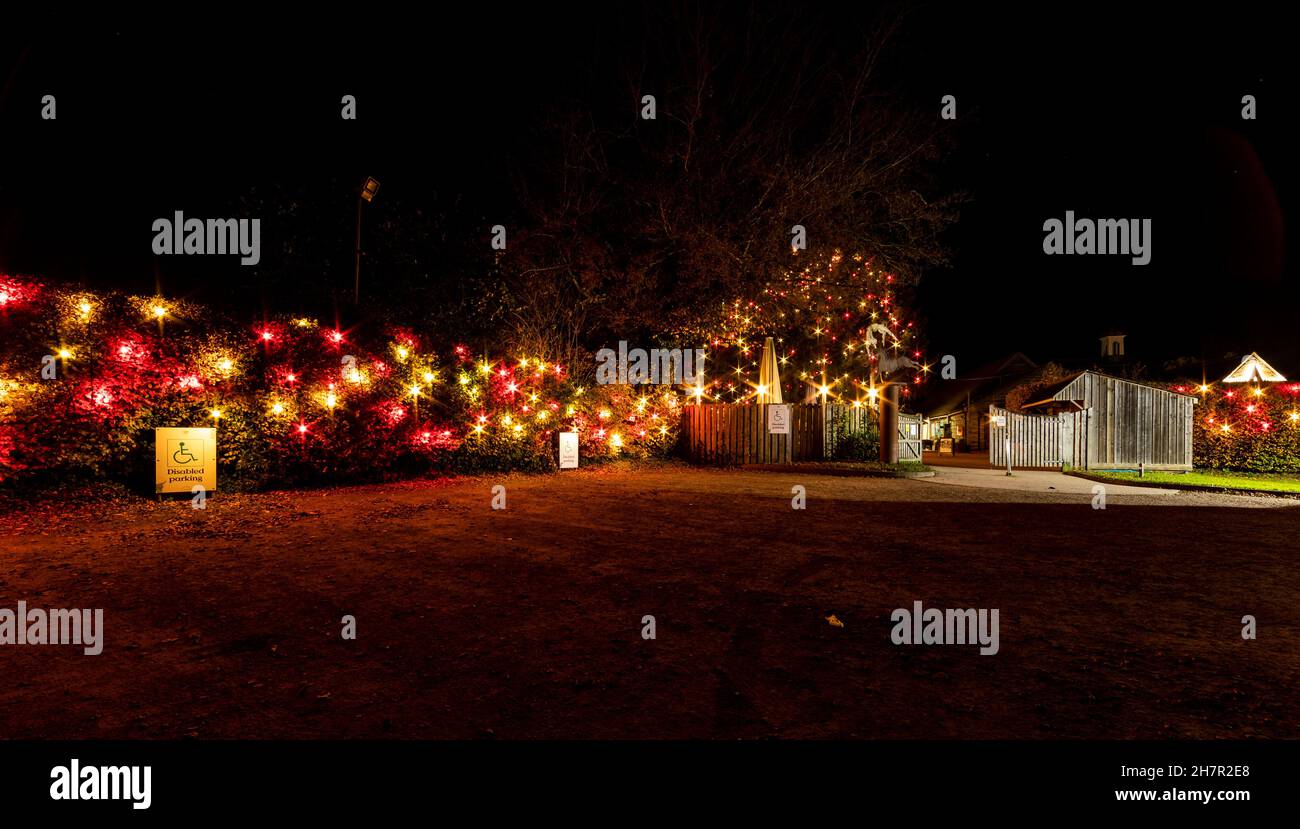 Noël.Les lumières festives de bon goût à l'entrée du centre de l'artisanat Taurus.Un site de Camphill Village. Banque D'Images